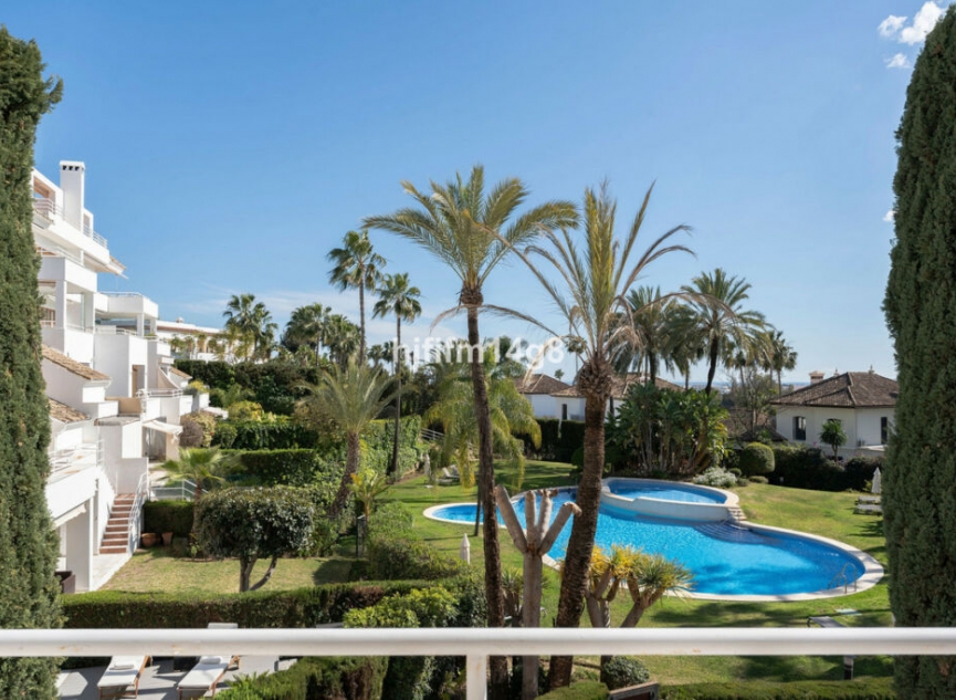 Další prodej - Apartment -
Nueva Andalucía