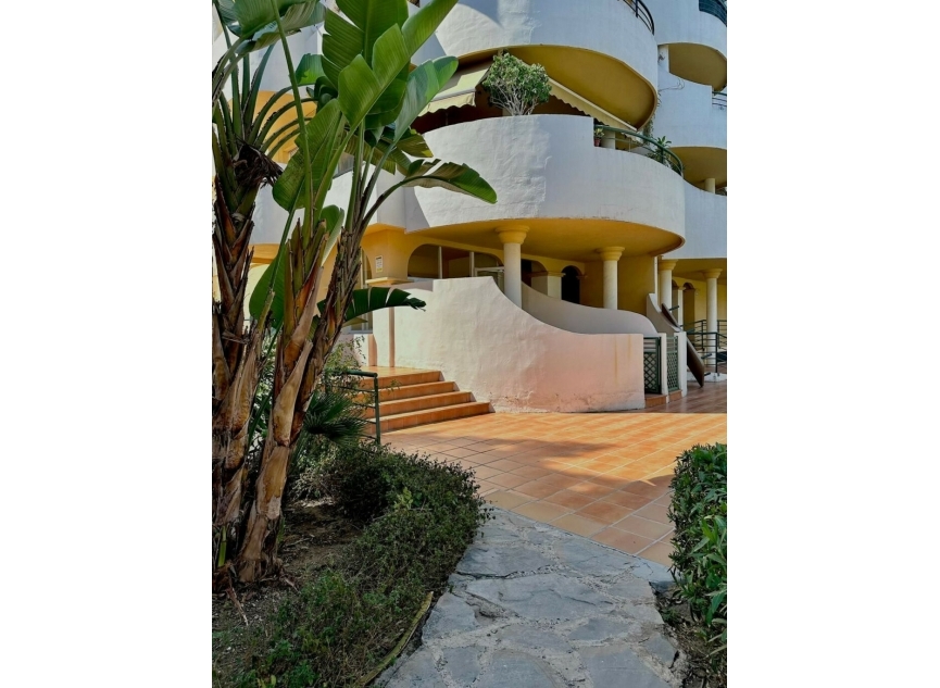 Další prodej - Apartment -
Nueva Andalucía