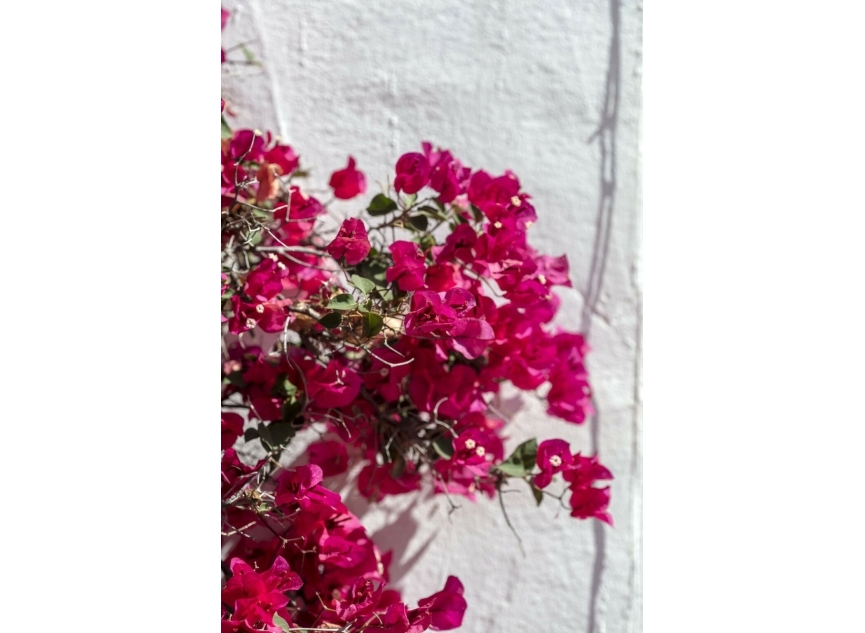 Další prodej - Apartment -
Nueva Andalucía