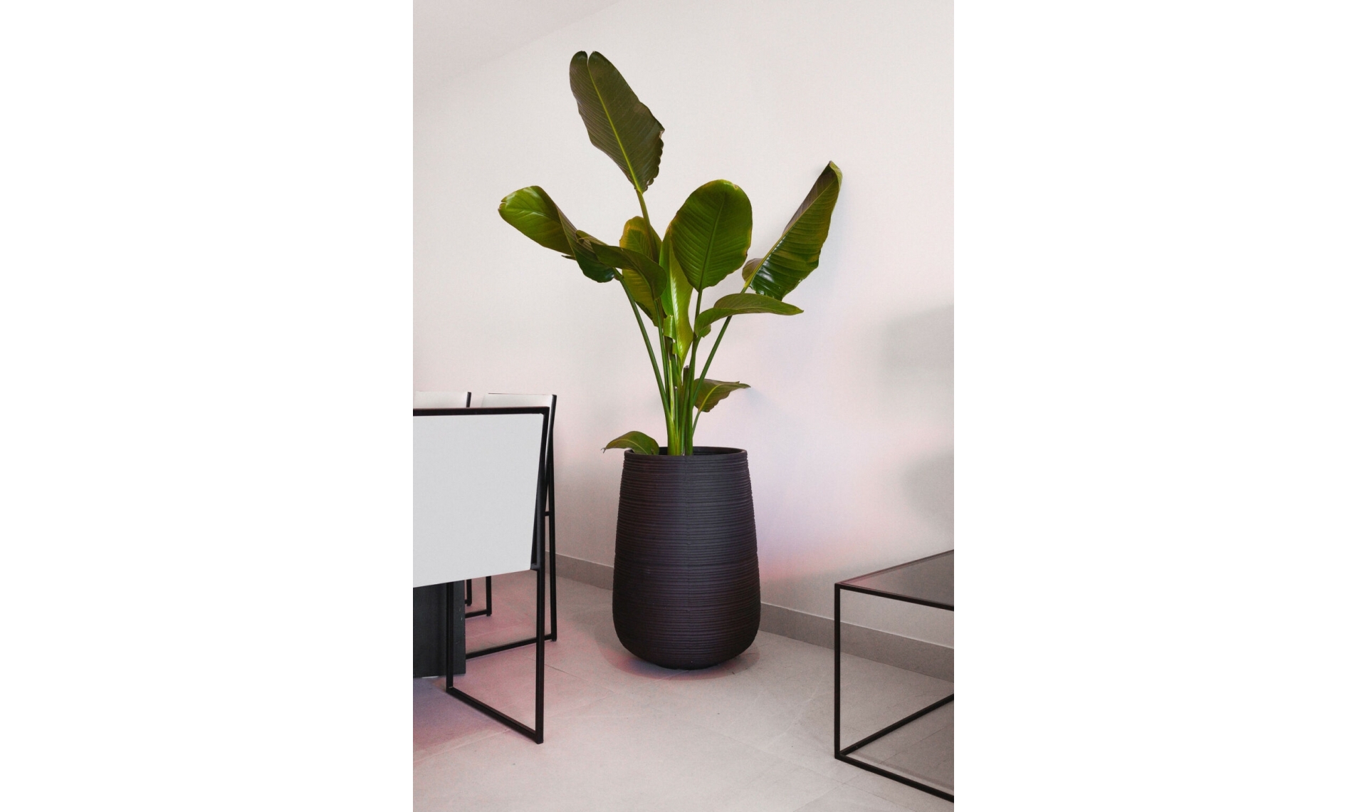 Další prodej - Apartment -
San Pedro de Alcántara