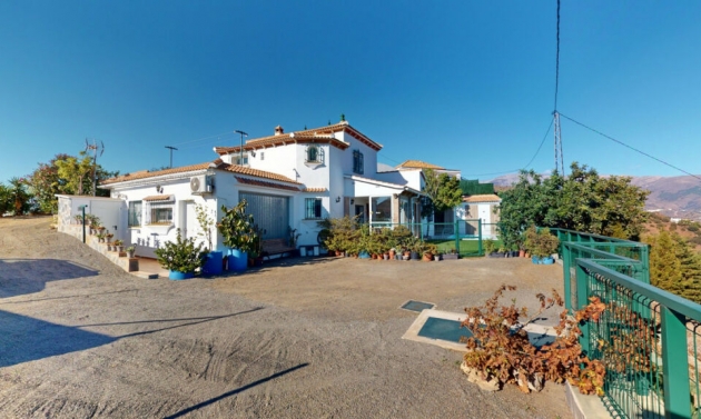  - Další prodej - Arenas - Arenas