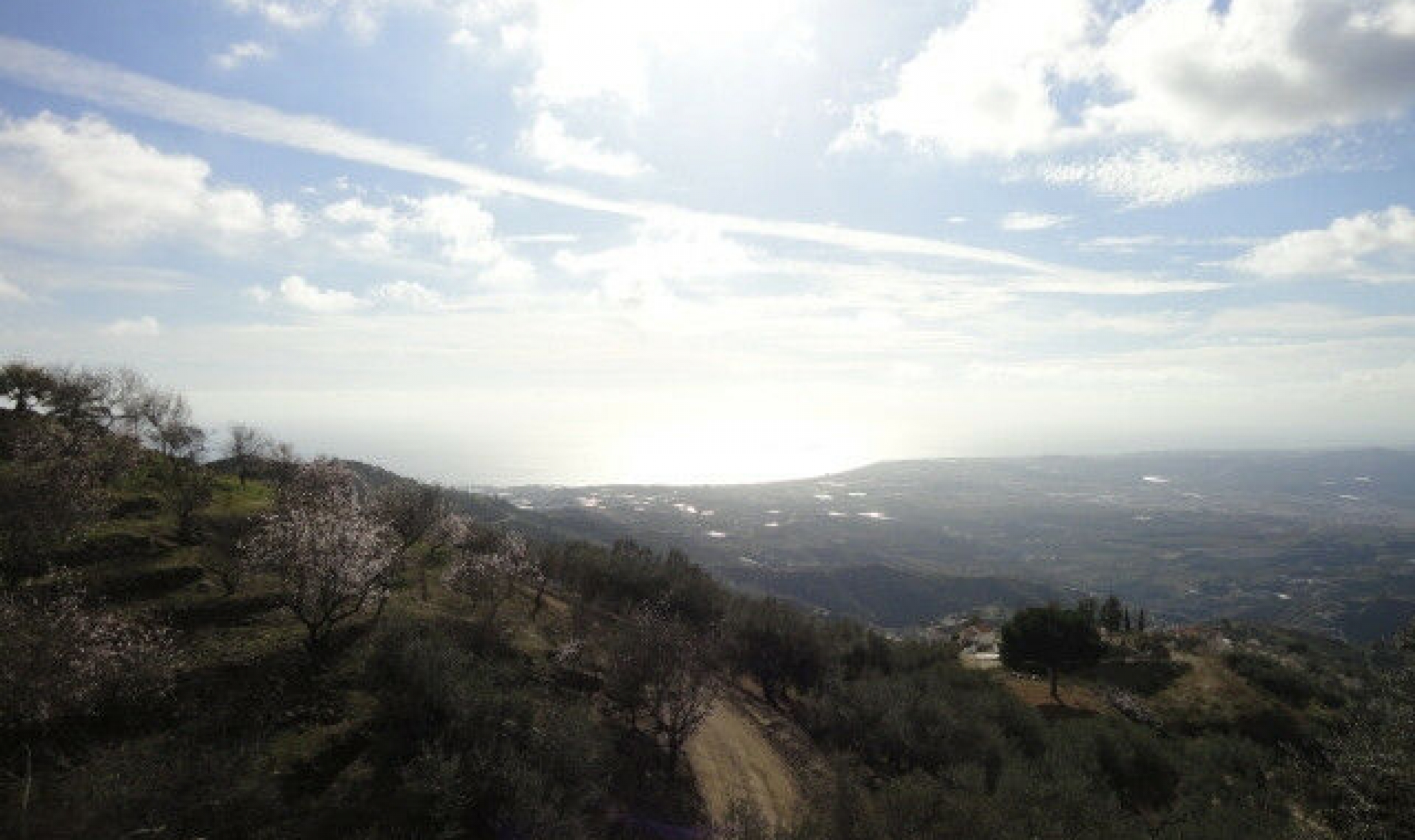 Další prodej -  -
Arenas