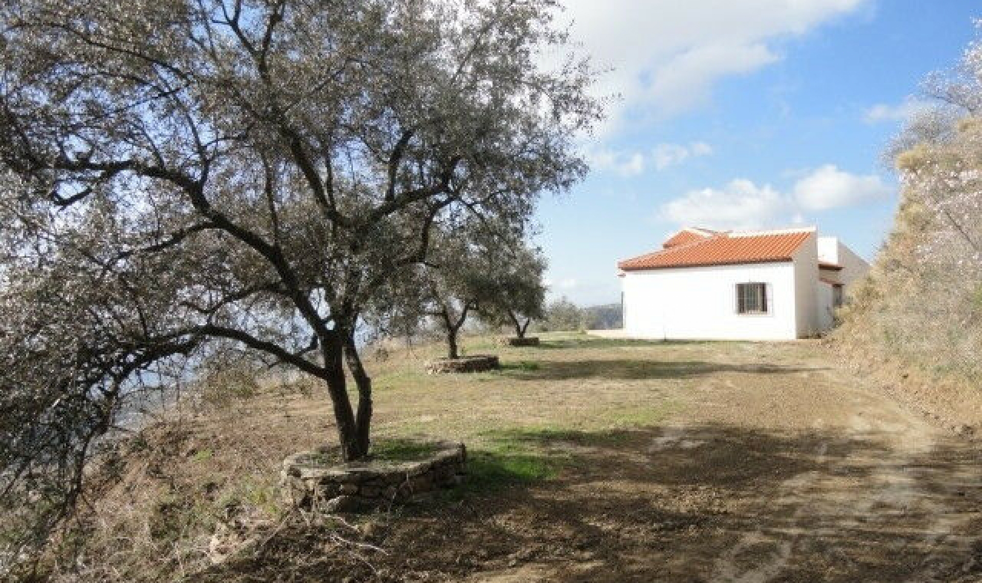 Další prodej -  -
Arenas