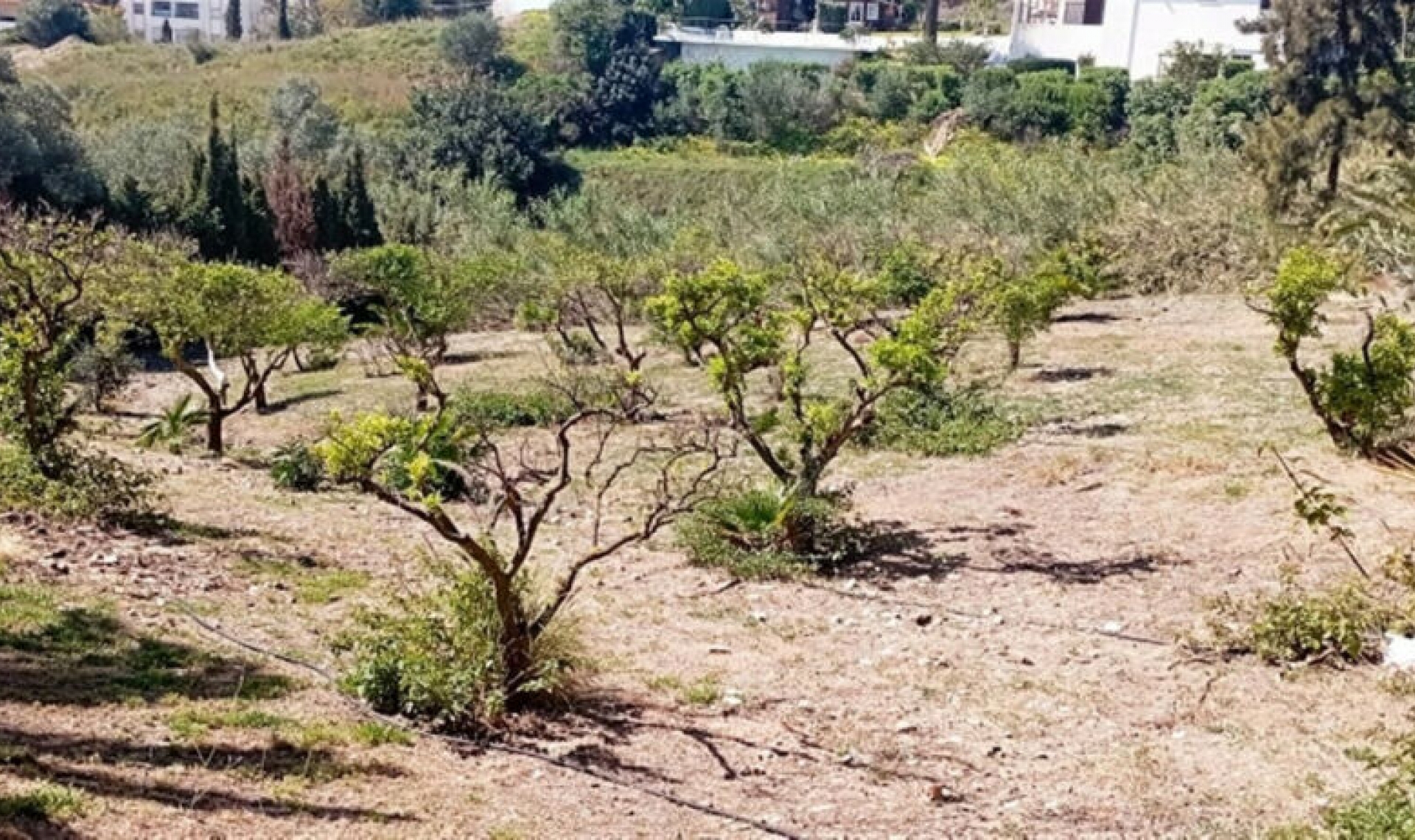 Další prodej -  -
Benalmadena Costa