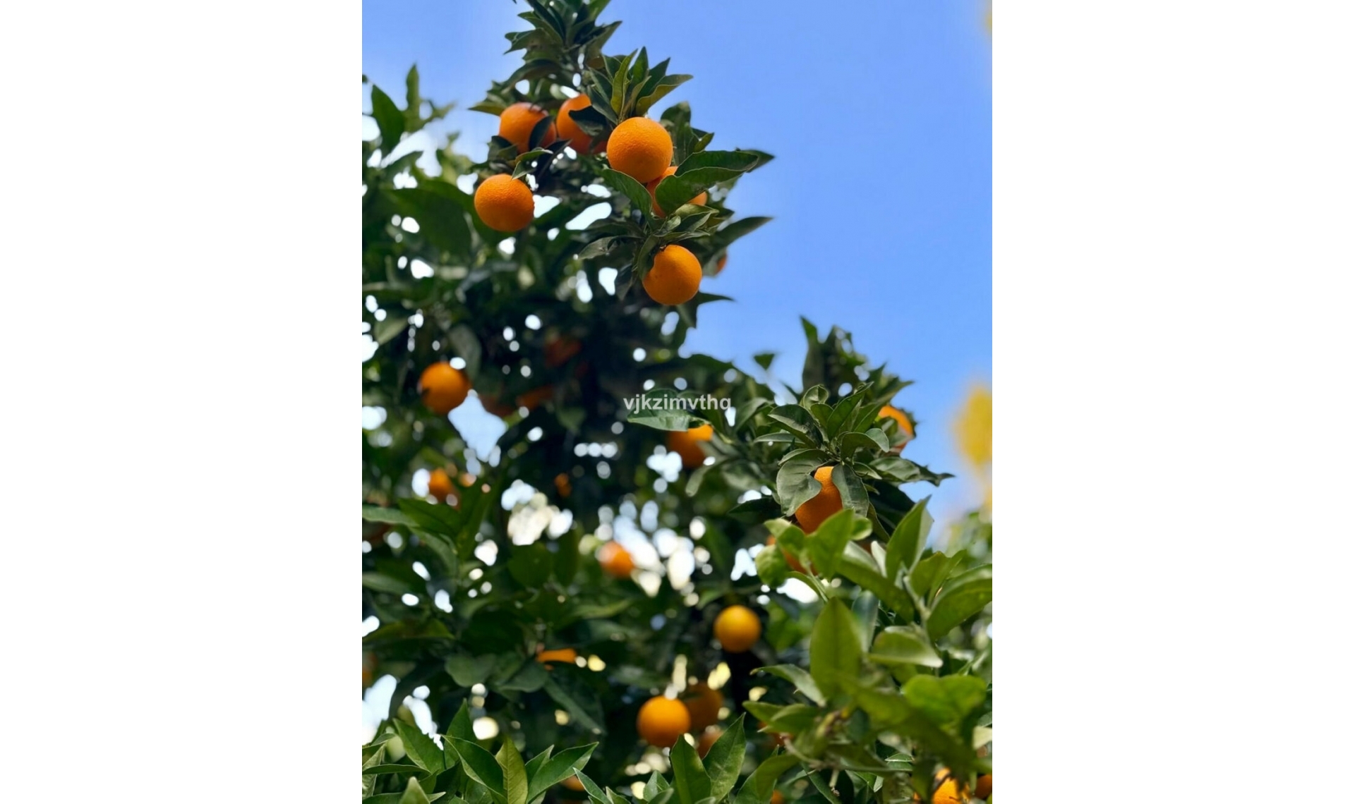 Další prodej -  -
Benalmadena Pueblo