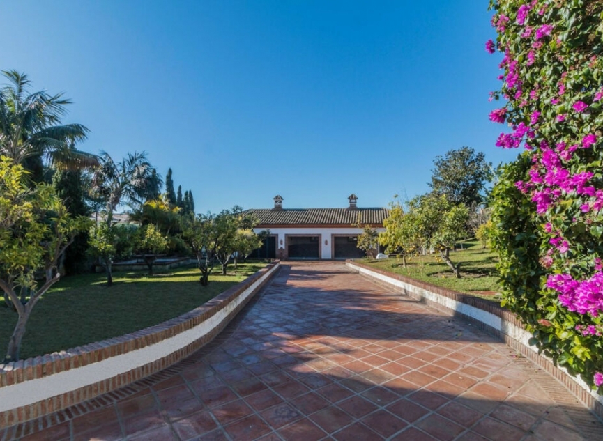 Další prodej -  -
Costabella