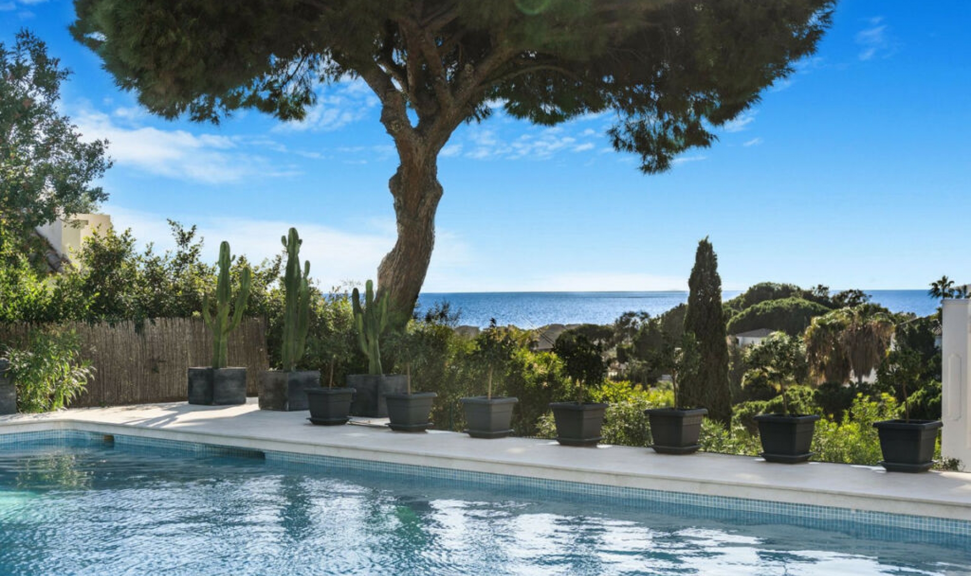 Další prodej -  -
Elviria