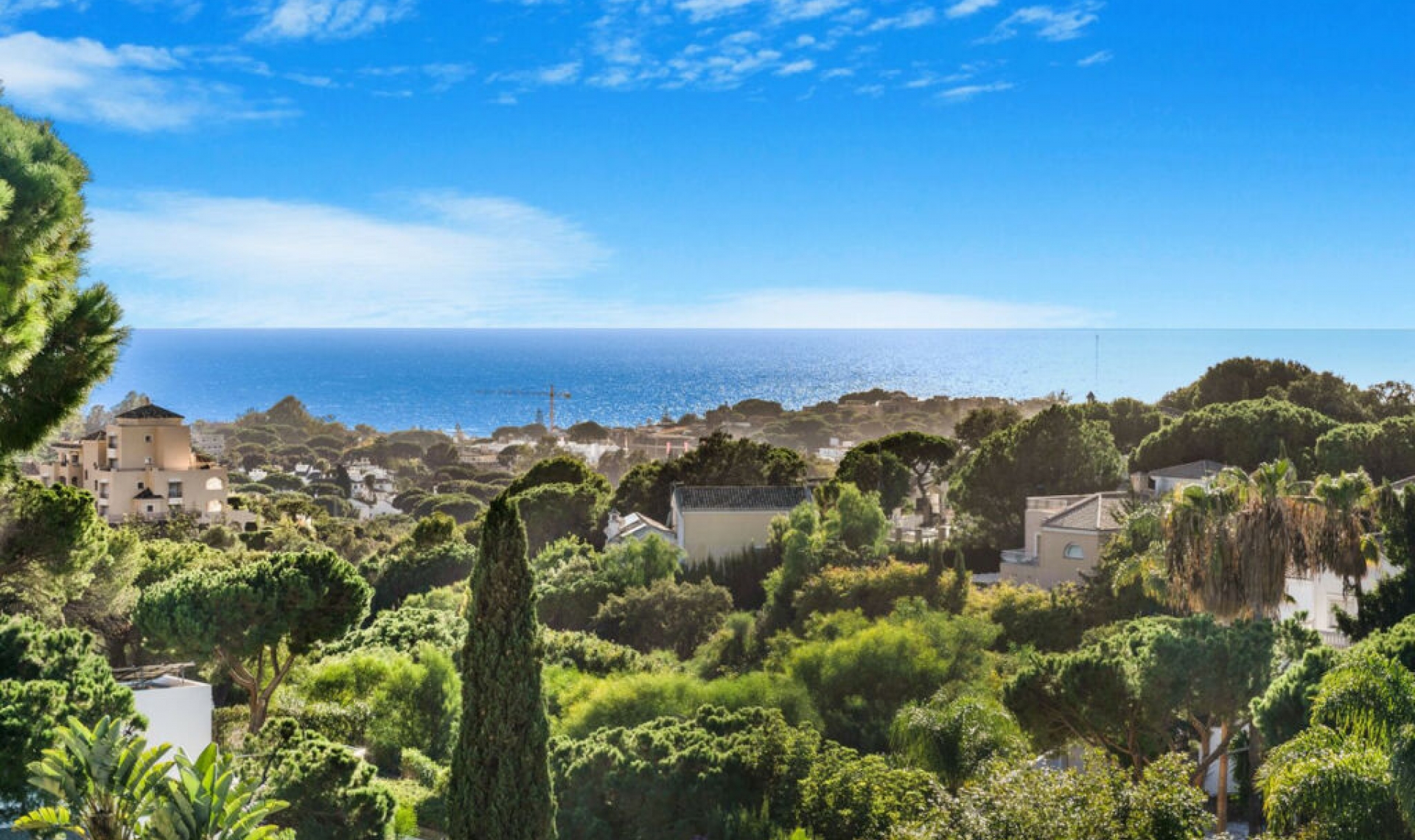 Další prodej -  -
Elviria