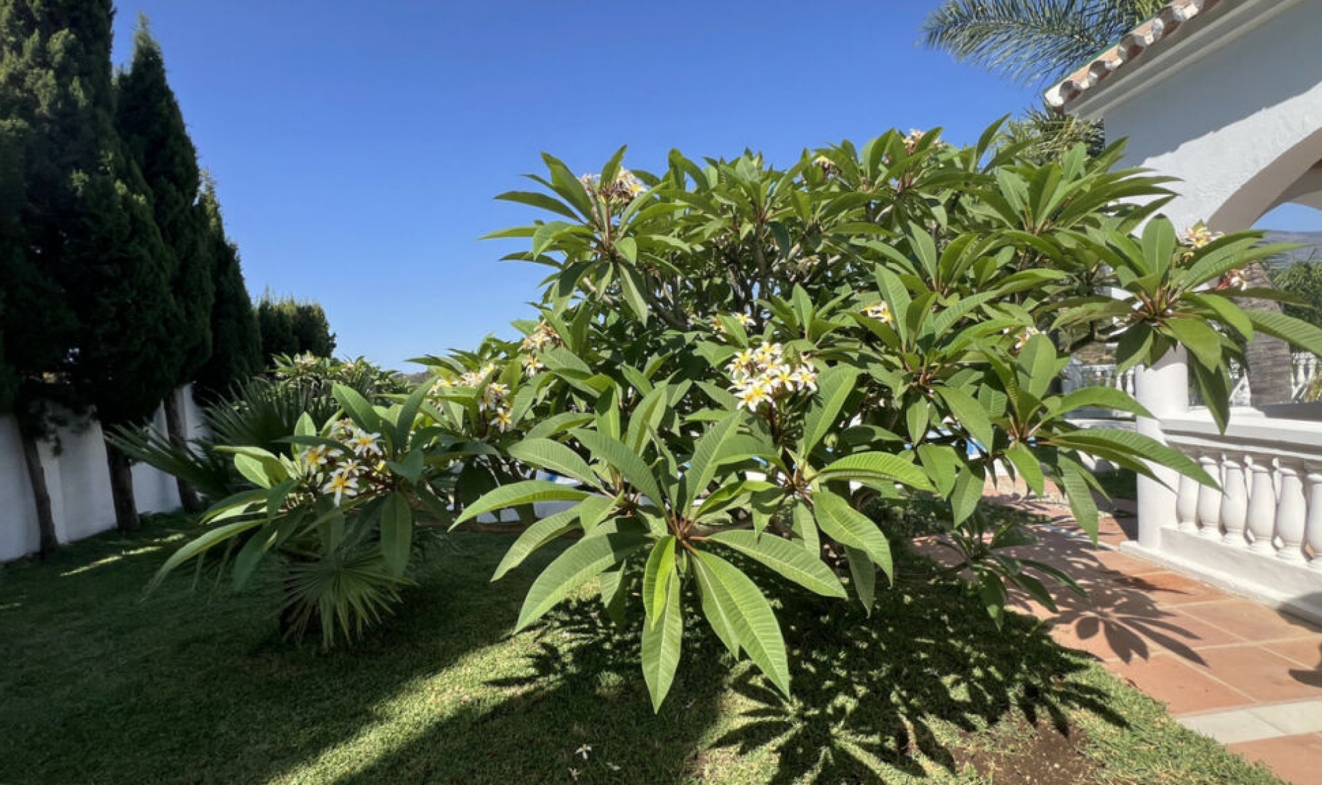 Další prodej -  -
Estepona
