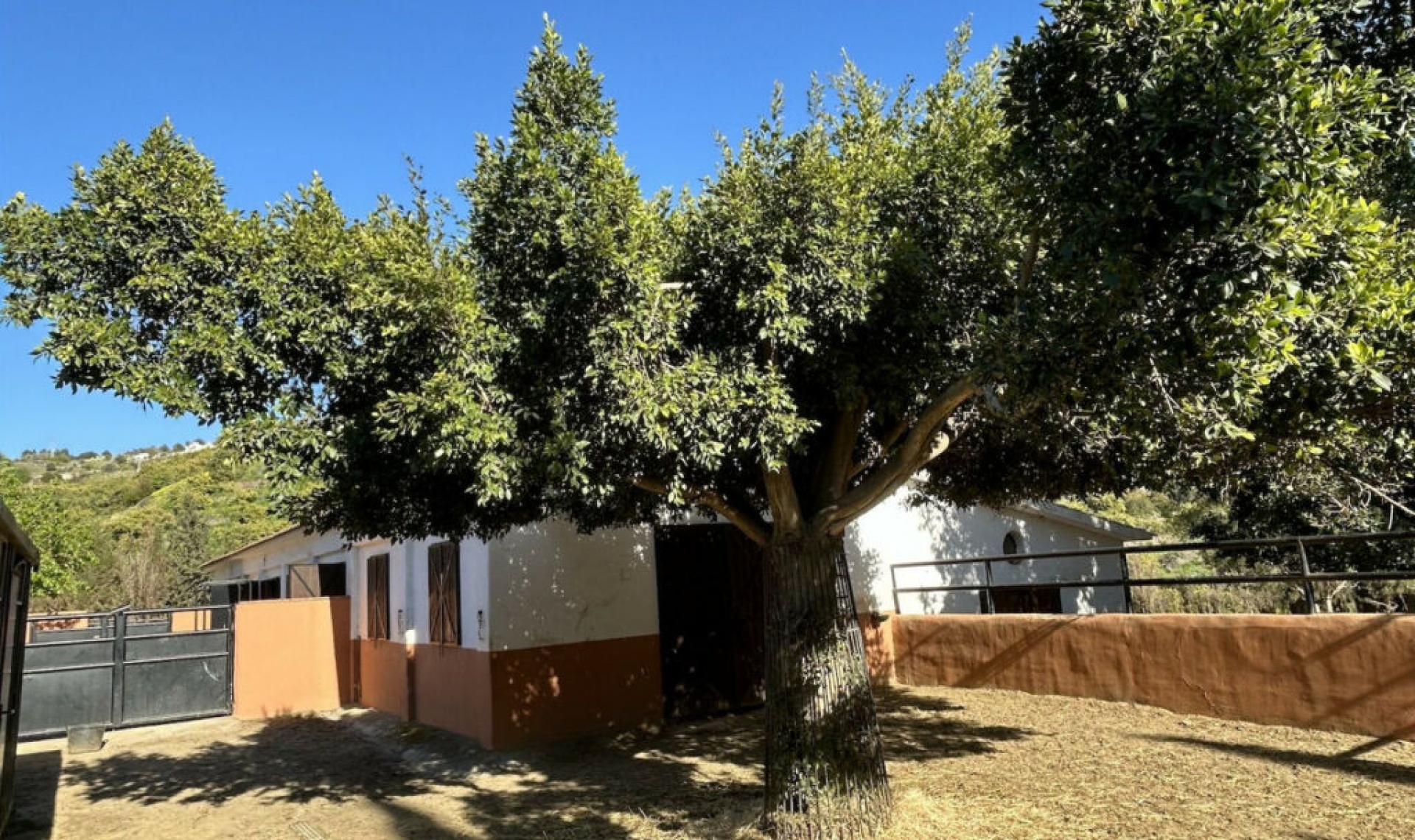 Další prodej -  -
Frigiliana