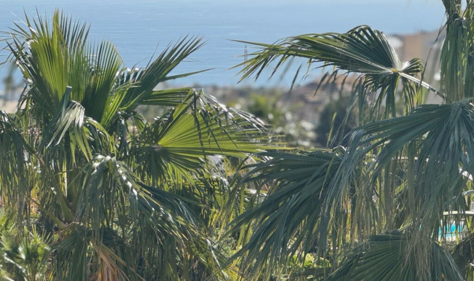 Další prodej -  -
Fuengirola