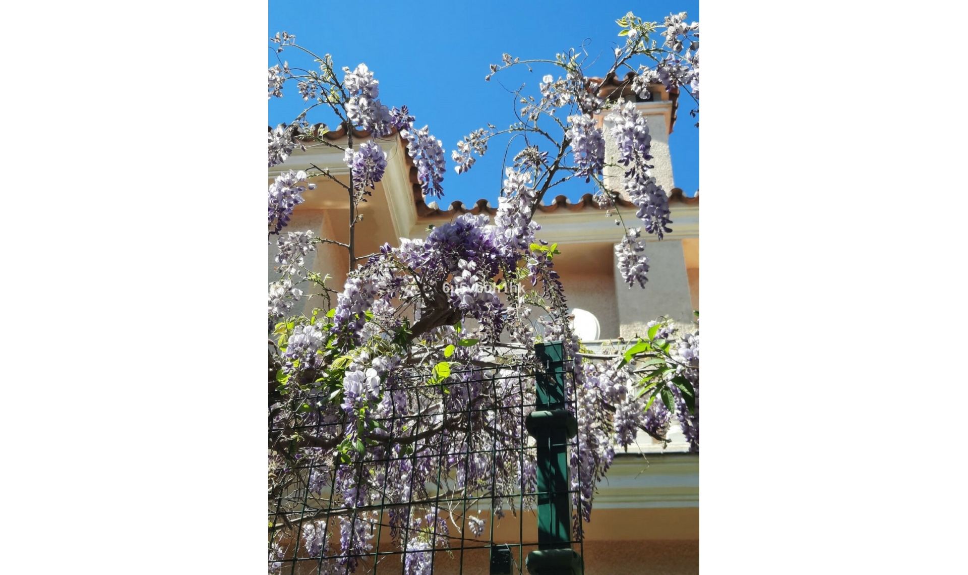 Další prodej -  -
Fuengirola