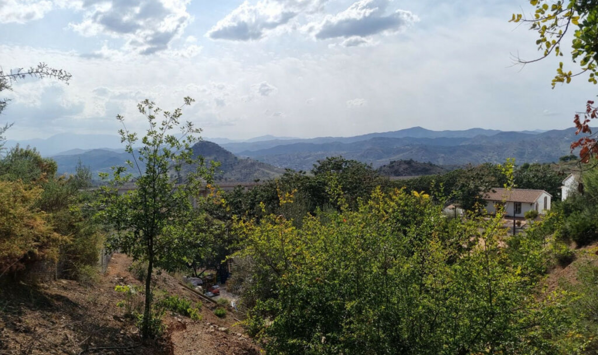 Další prodej -  -
Málaga