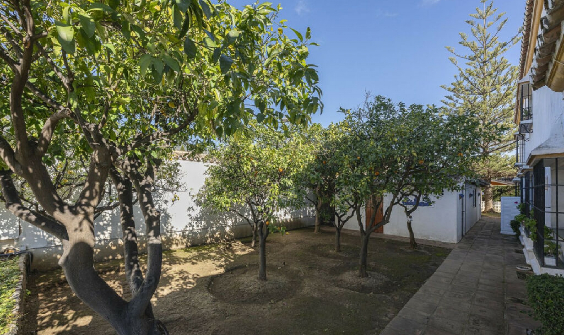 Další prodej -  -
Marbella