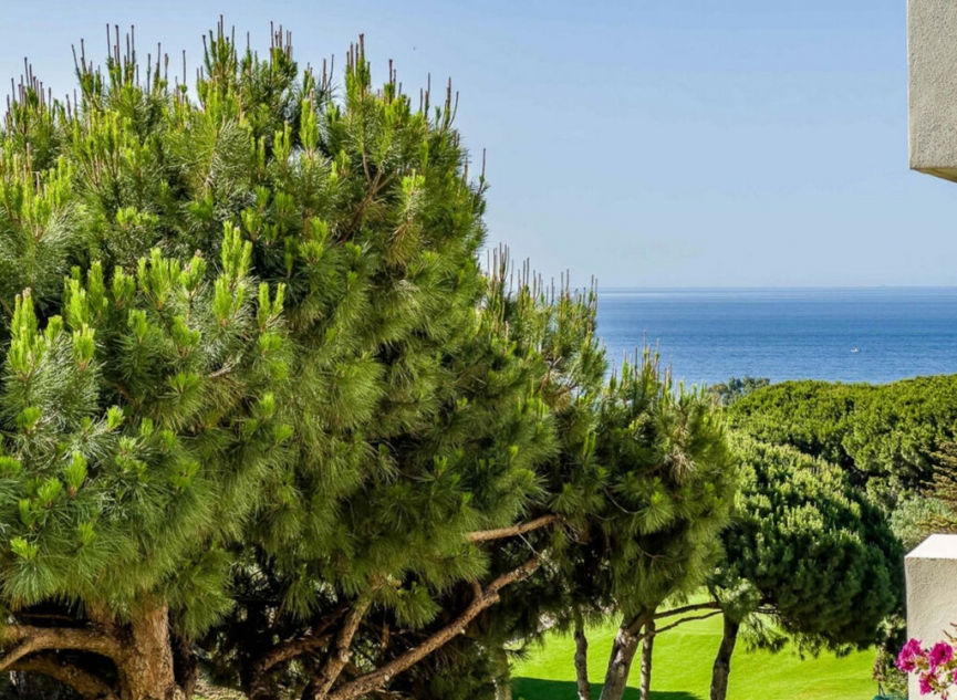 Další prodej -  -
Marbella