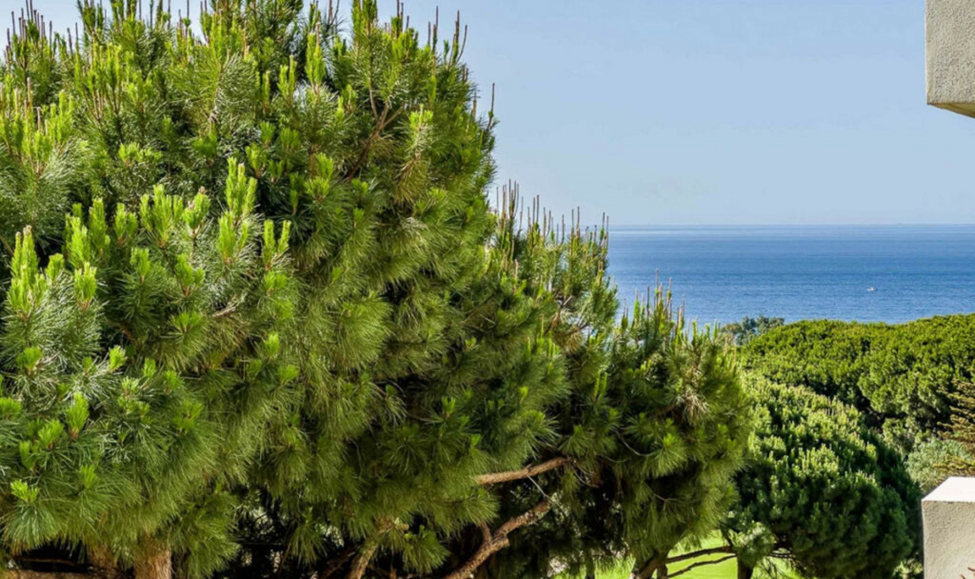 Další prodej -  -
Marbella