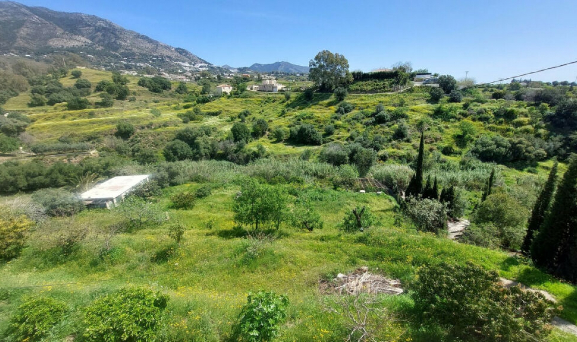 Další prodej -  -
Mijas