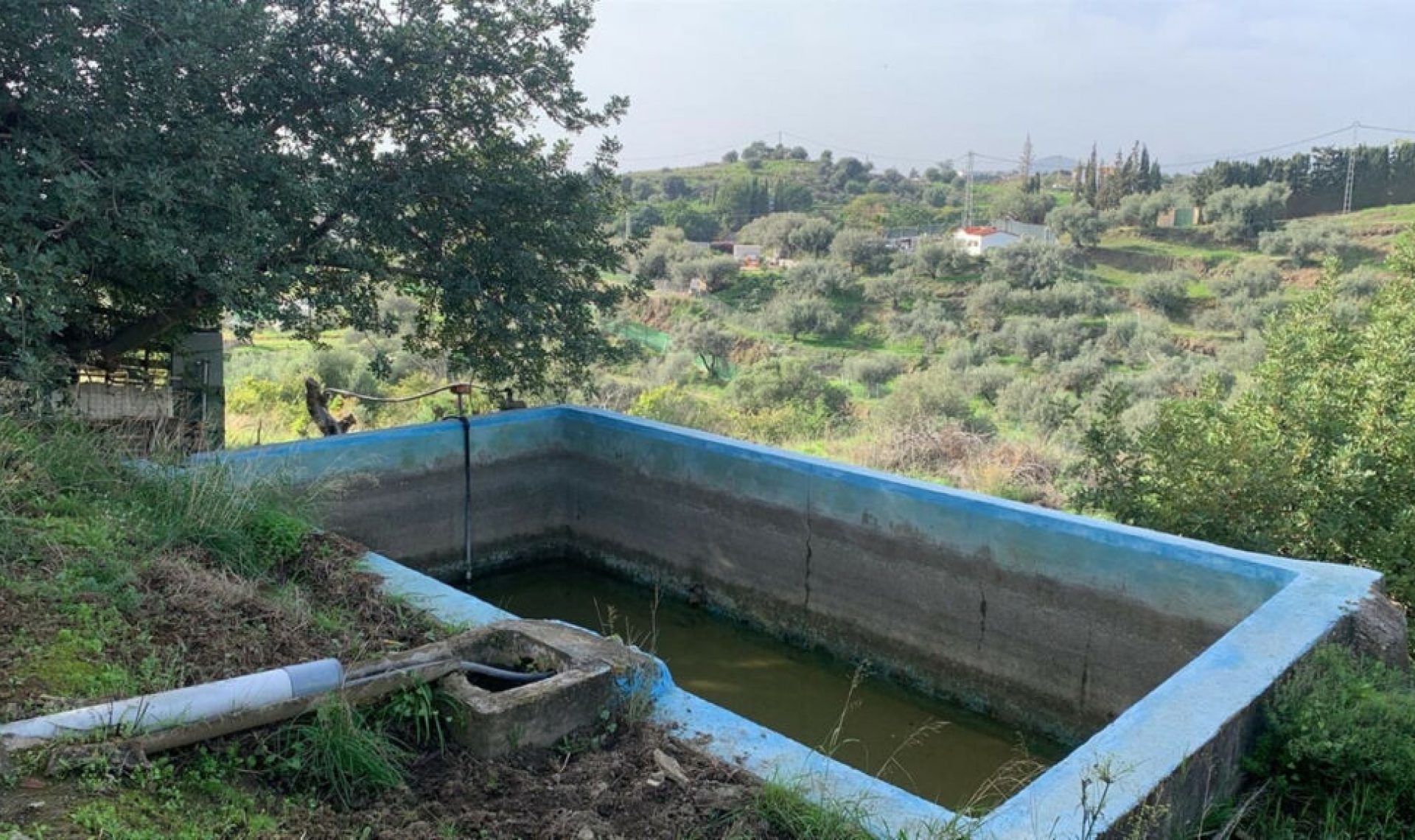 Další prodej -  -
Mijas