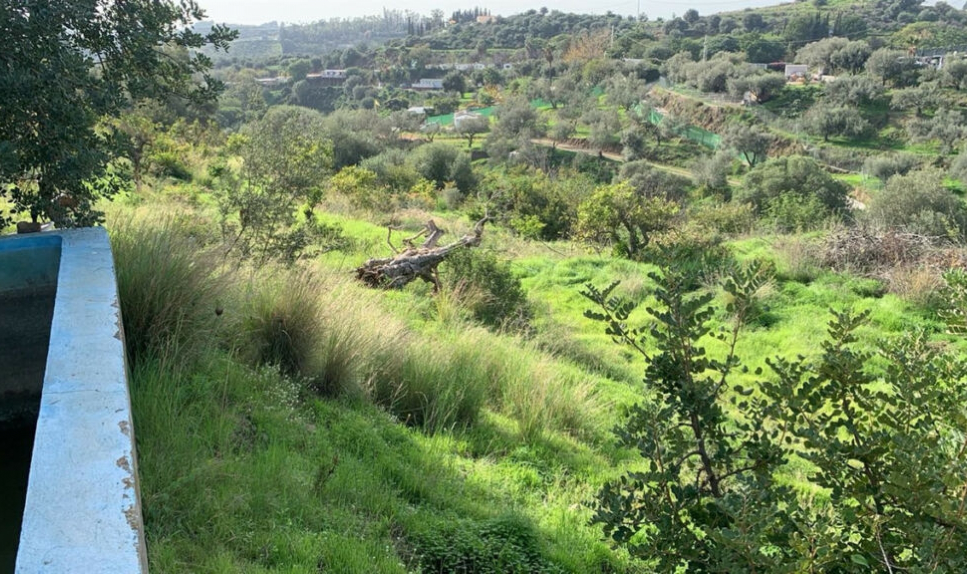 Další prodej -  -
Mijas