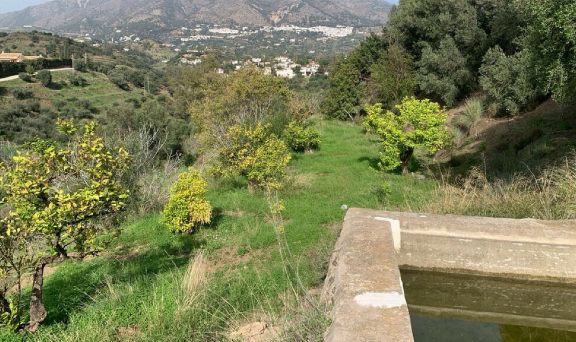 Další prodej -  -
Mijas