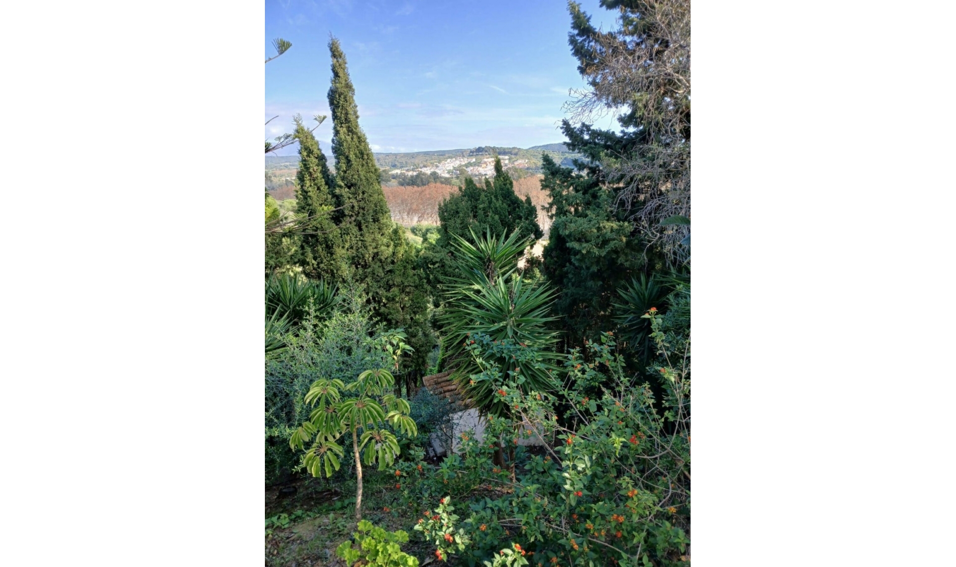Další prodej -  -
Pueblo Nuevo de Guadiaro