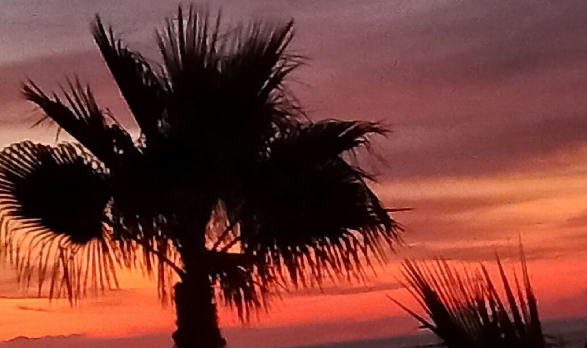 Další prodej -  -
Riviera del Sol