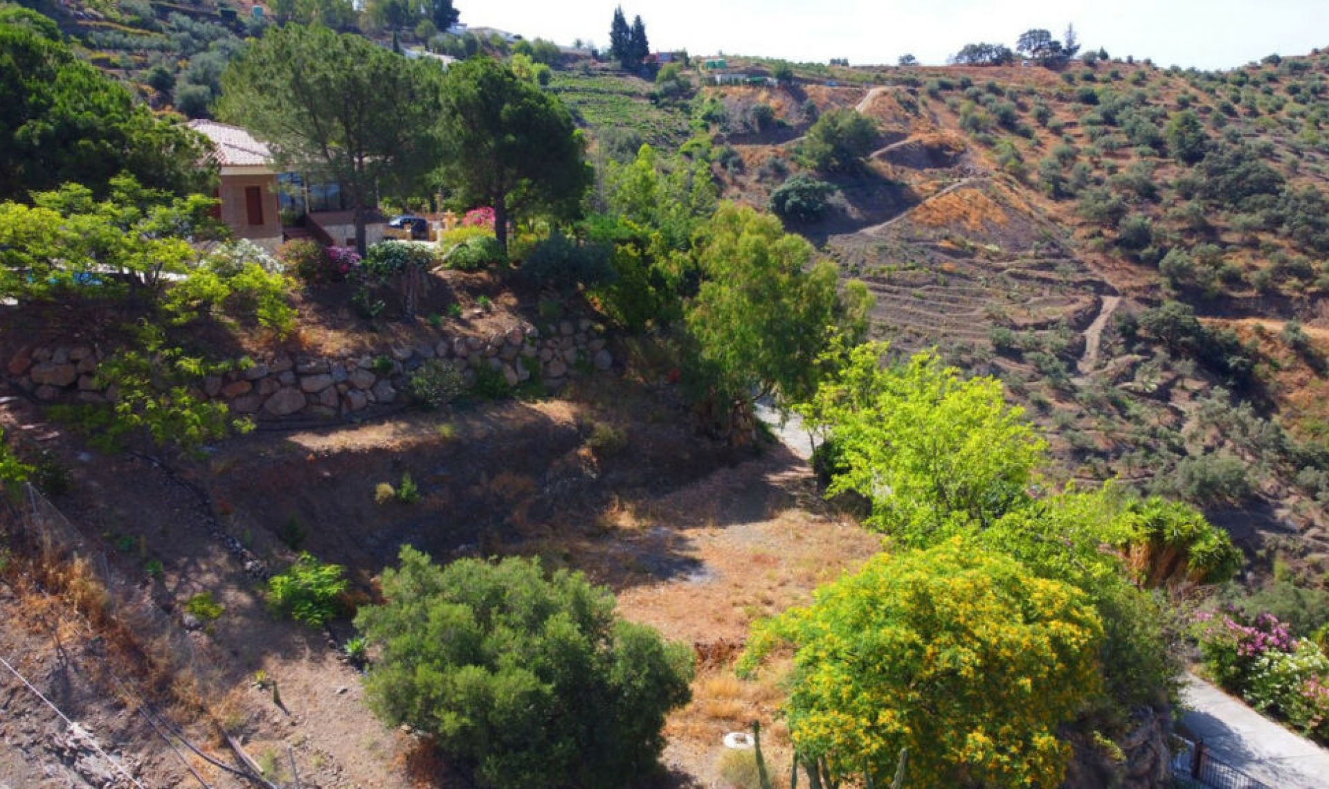 Další prodej -  -
Sayalonga