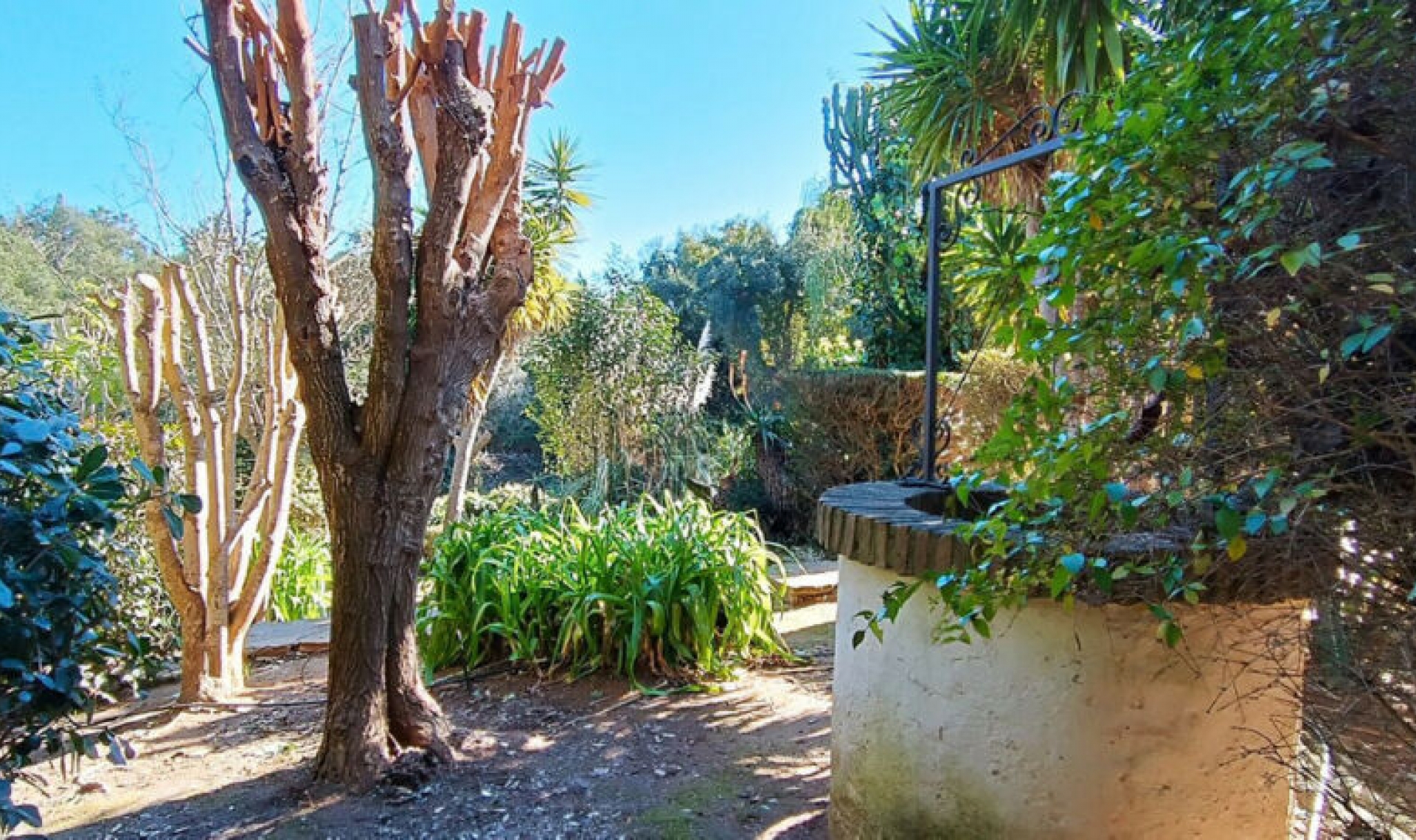 Další prodej -  -
Sotogrande Alto
