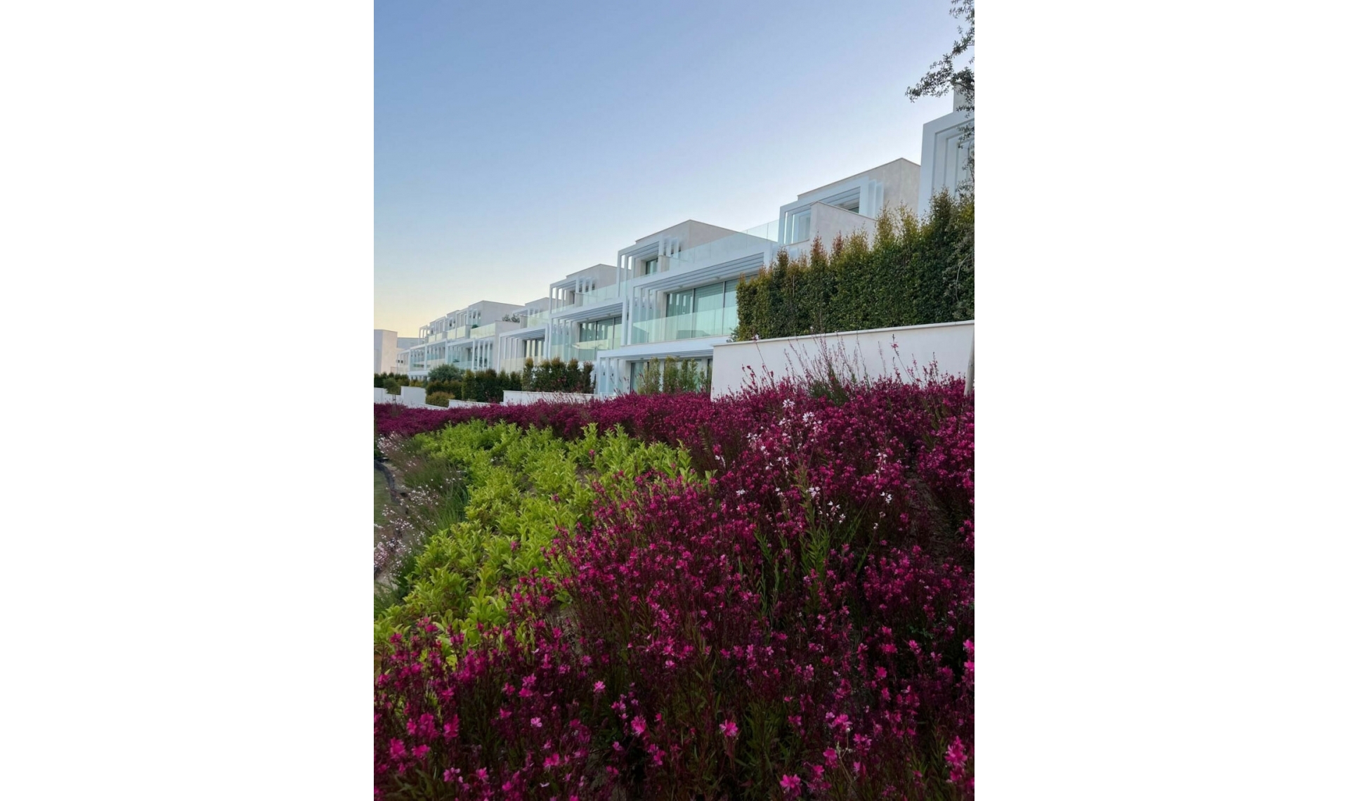 Další prodej -  -
Sotogrande