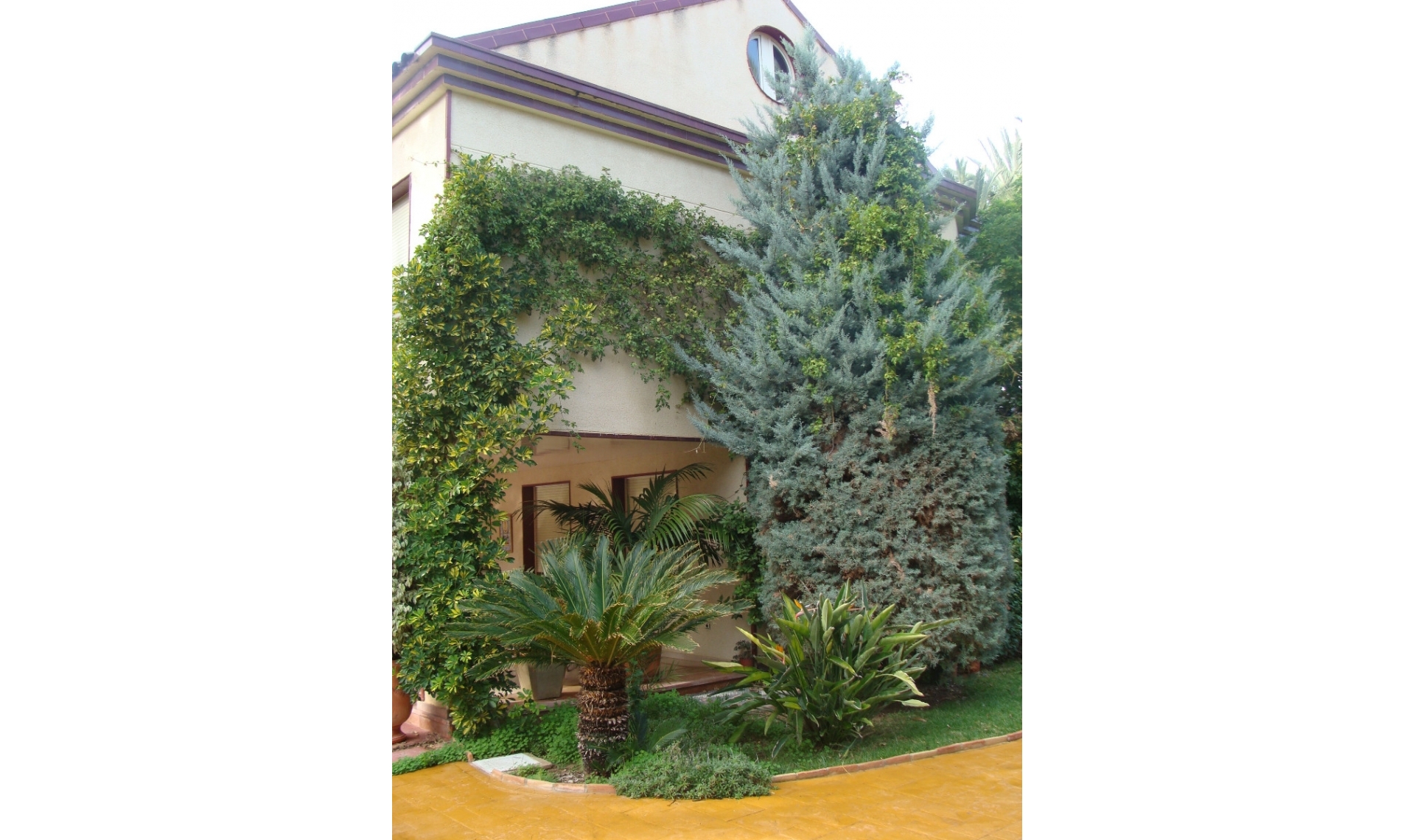 Další prodej - Vila -
Elche/Elx