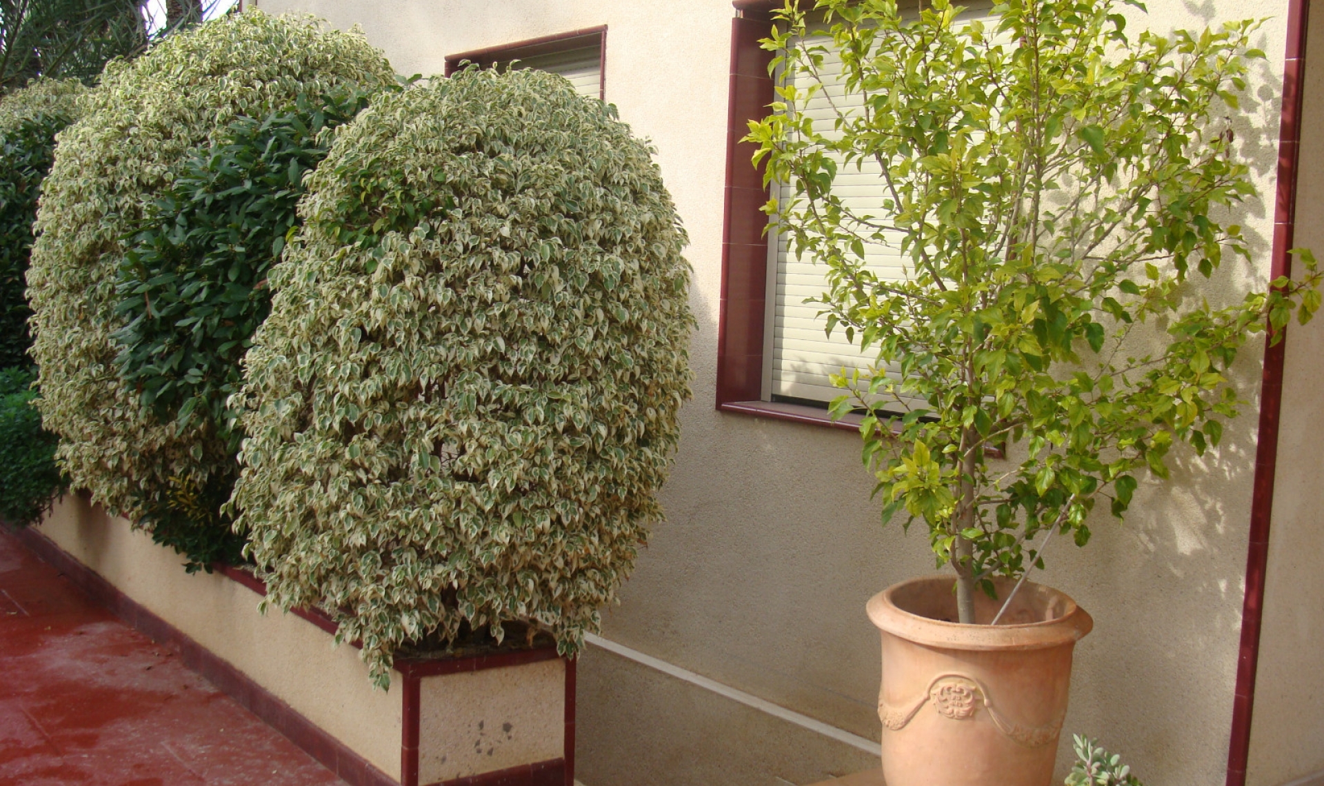 Další prodej - Vila -
Elche/Elx