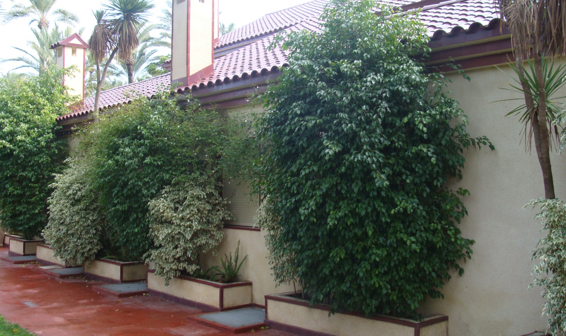 Další prodej - Vila -
Elche/Elx