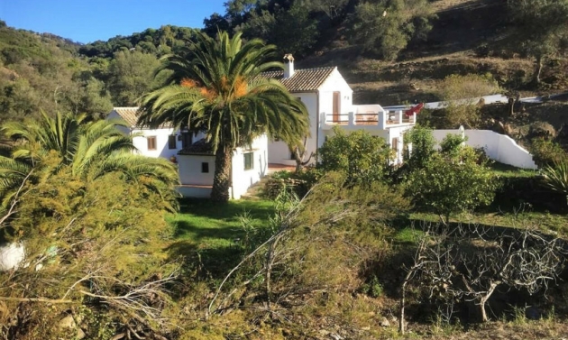 House - Resale - Casares - Casares