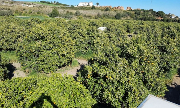 House - Resale - San Luis de Sabinillas - San Luis de Sabinillas