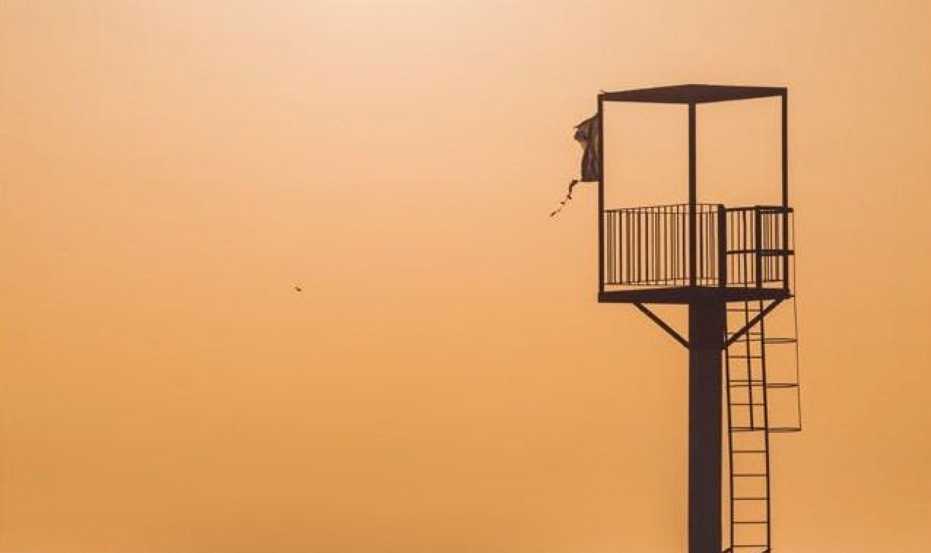 New Build - Apartment -
Almerimar