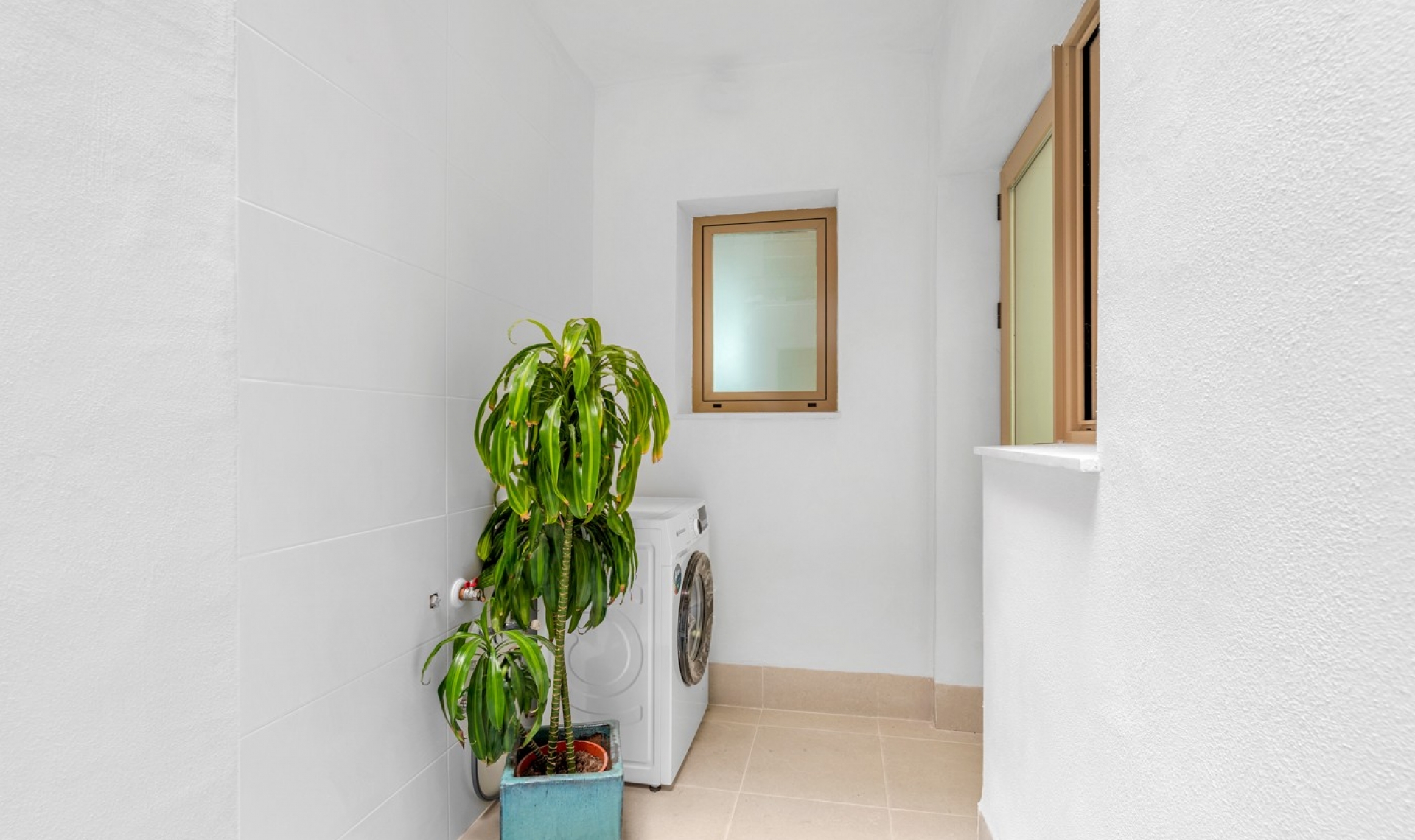 New Build - Apartment -
Jacarilla