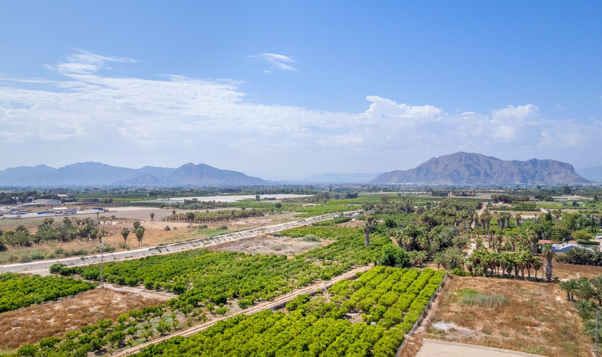 New Build - Apartment -
Jacarilla