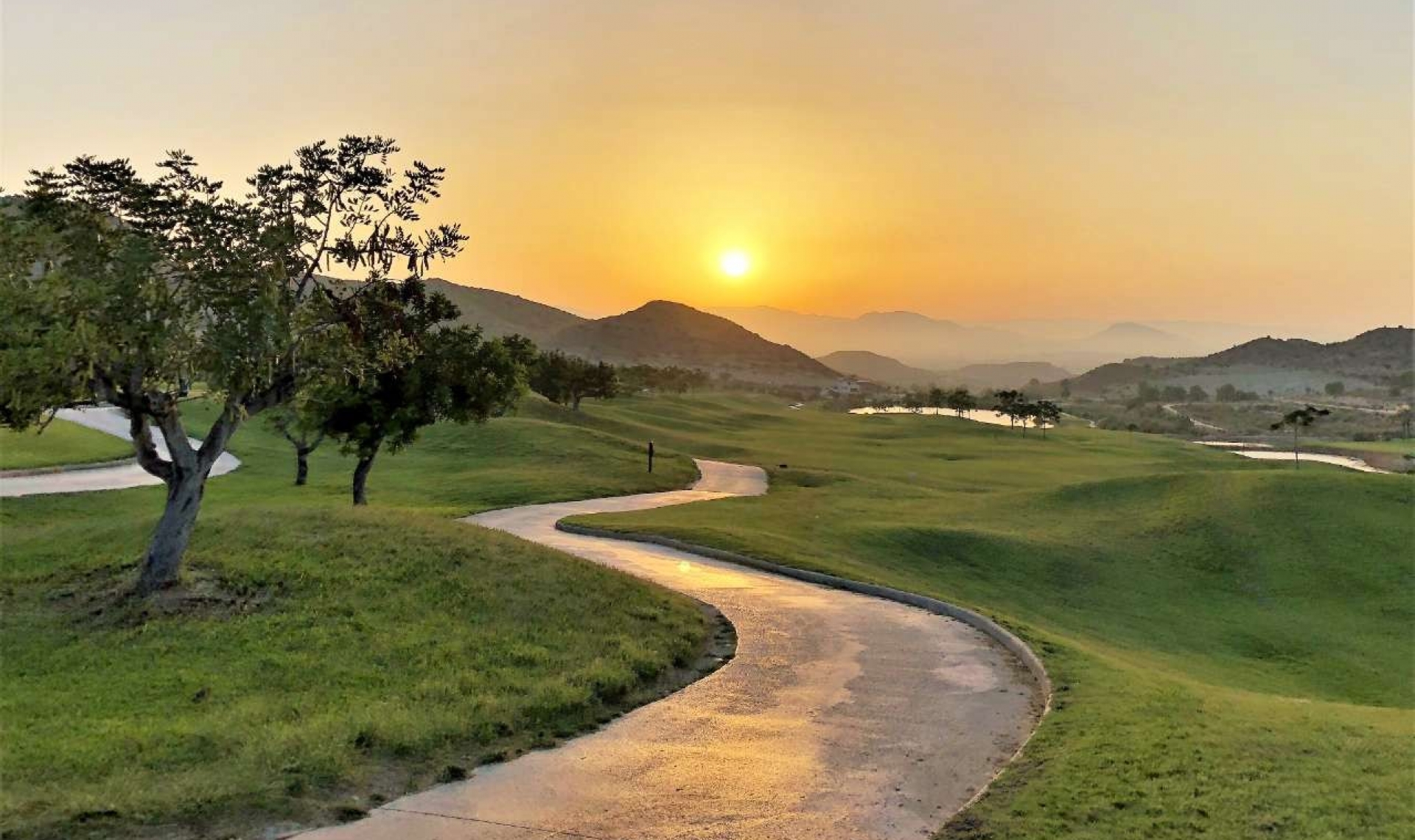 New Build - Apartment -
Monforte del Cid - Font del Llop