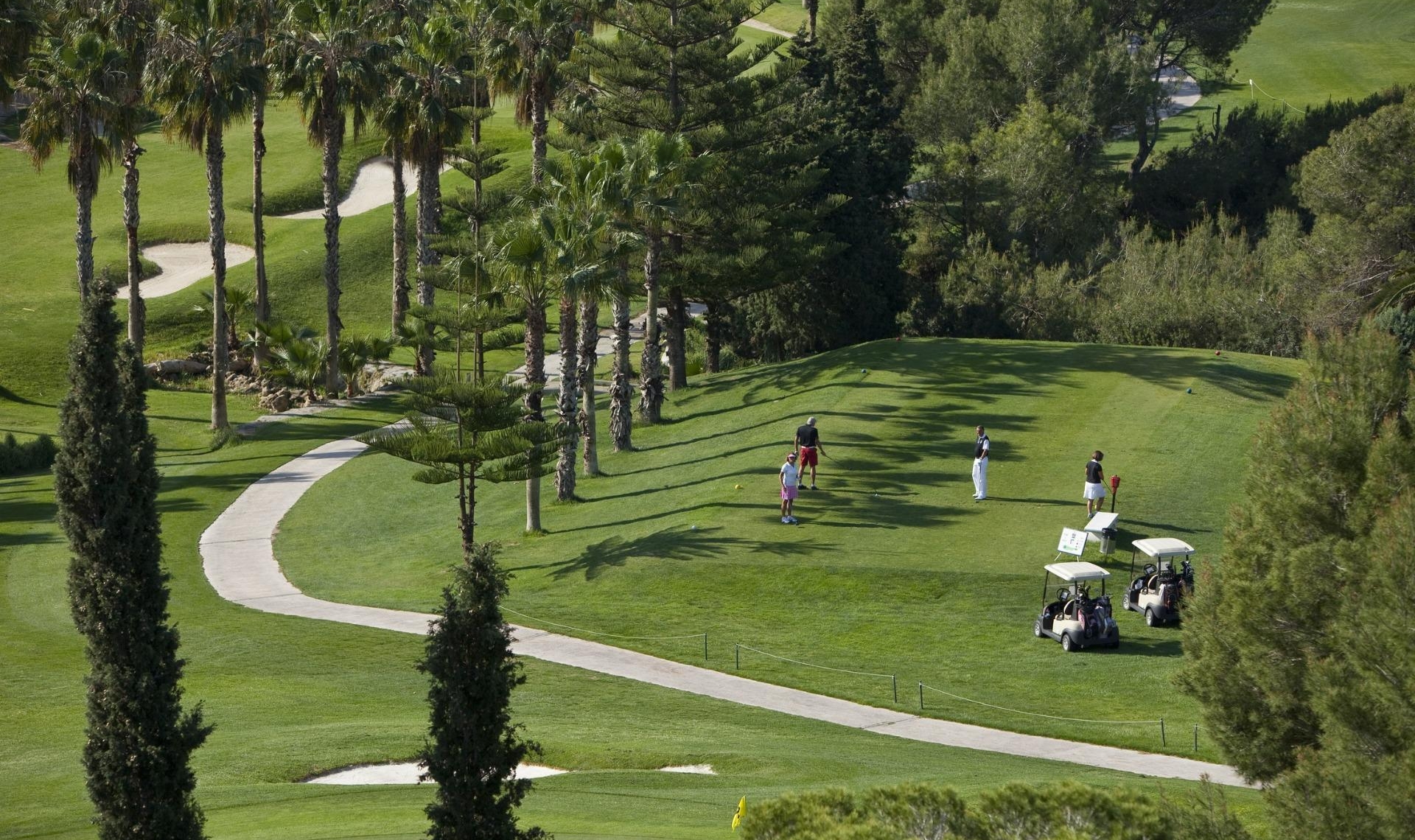 New Build - Apartment -
Orihuela Costa - Lomas de Campoamor