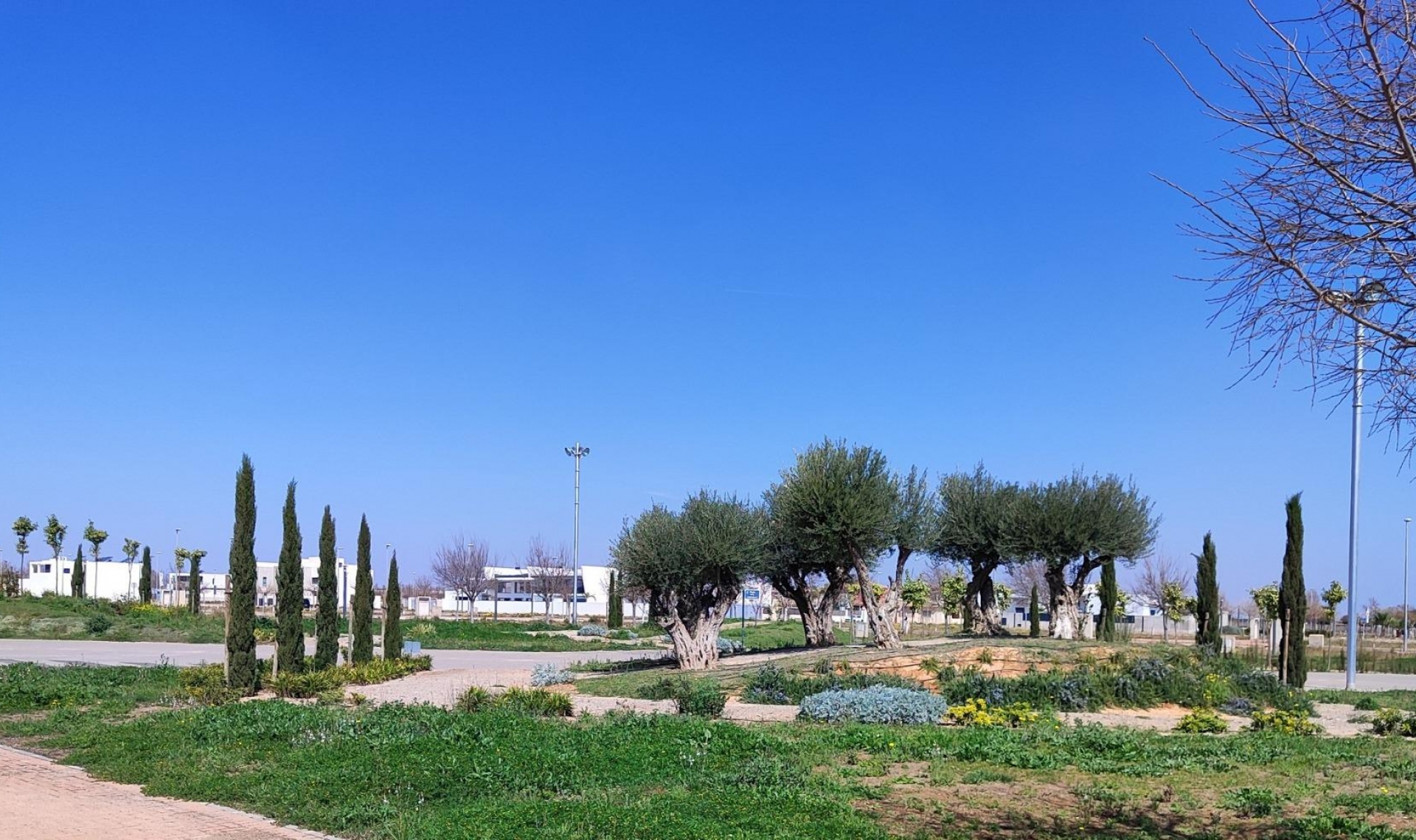 New Build - Apartment -
Torre Pacheco - Centro