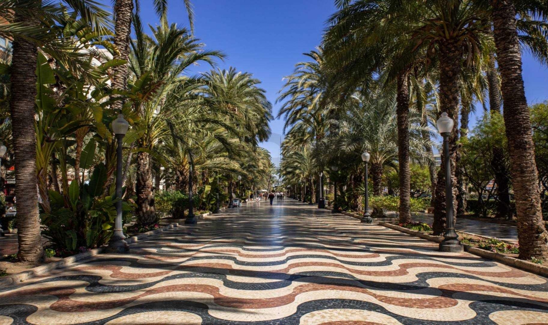 New Build - Penthouse -
Alicante - Centro