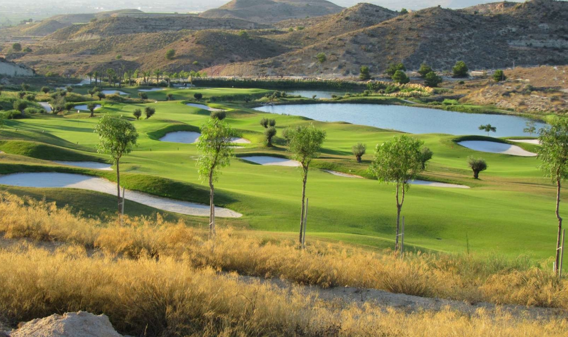 New Build - Semi-Detached Villa -
Monforte del Cid - Font del Llop