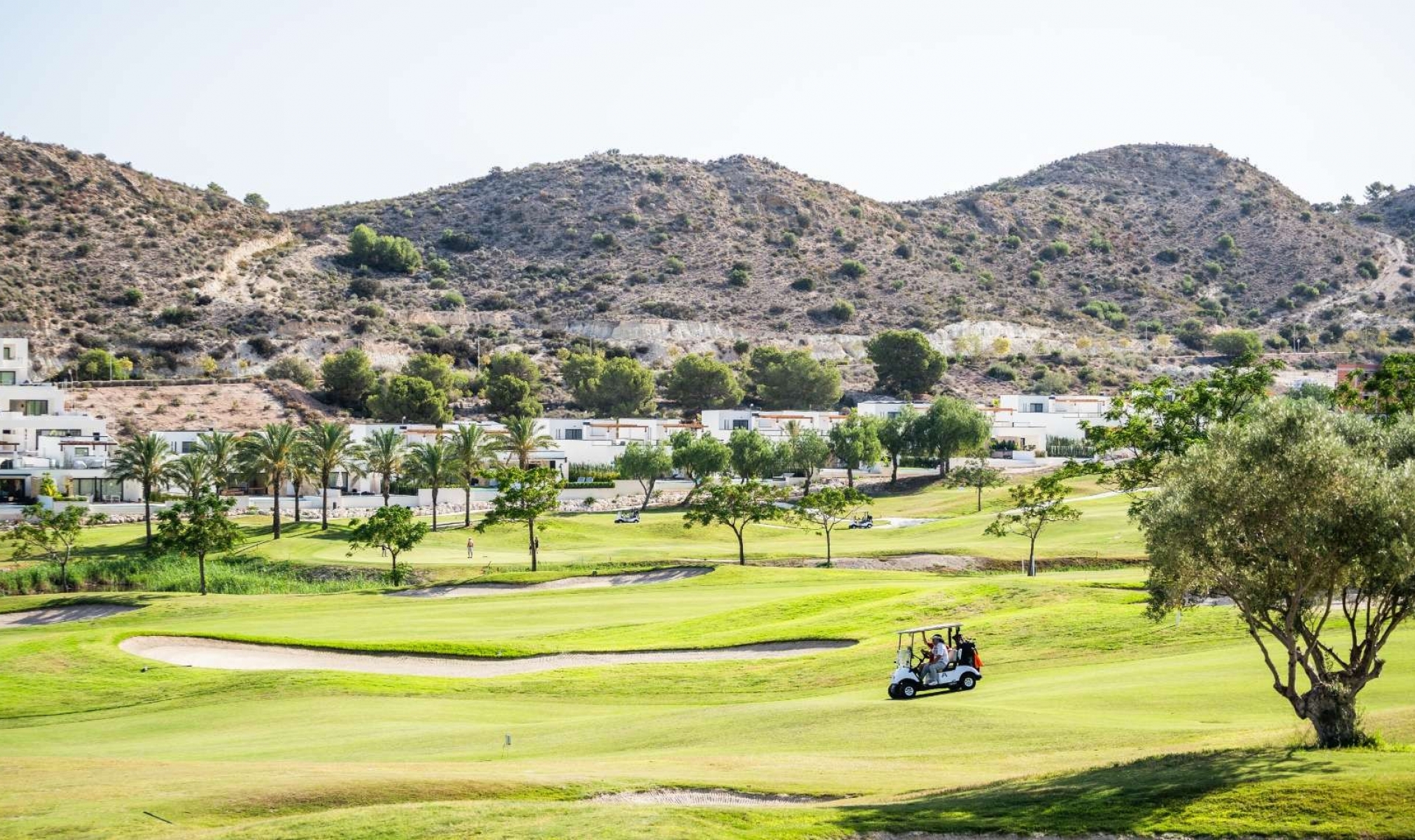 New Build - Semi-Detached Villa -
Monforte del Cid - Font del Llop