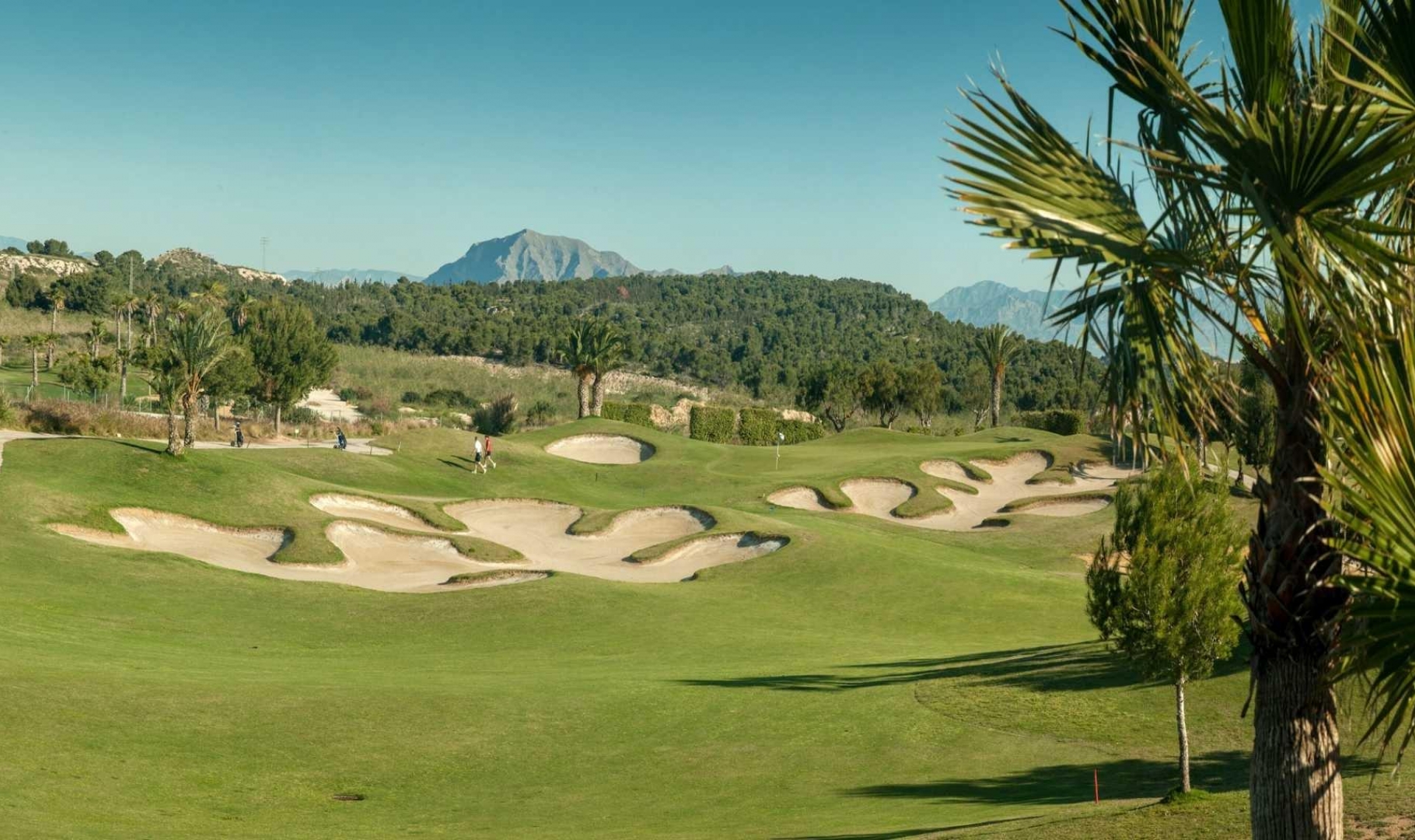New Build - Town House -
Orihuela - Vistabella Golf