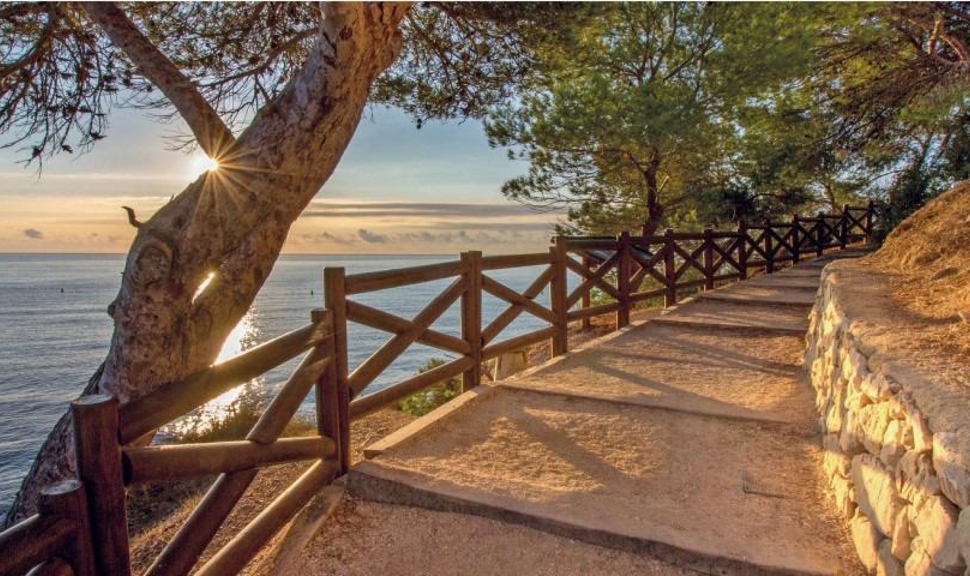 New Build - Villa -
Benissa - Cala Advocat