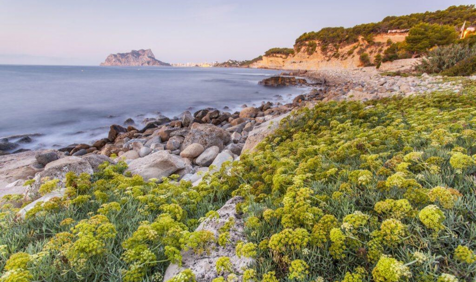 New Build - Villa -
Benissa - Cala Advocat