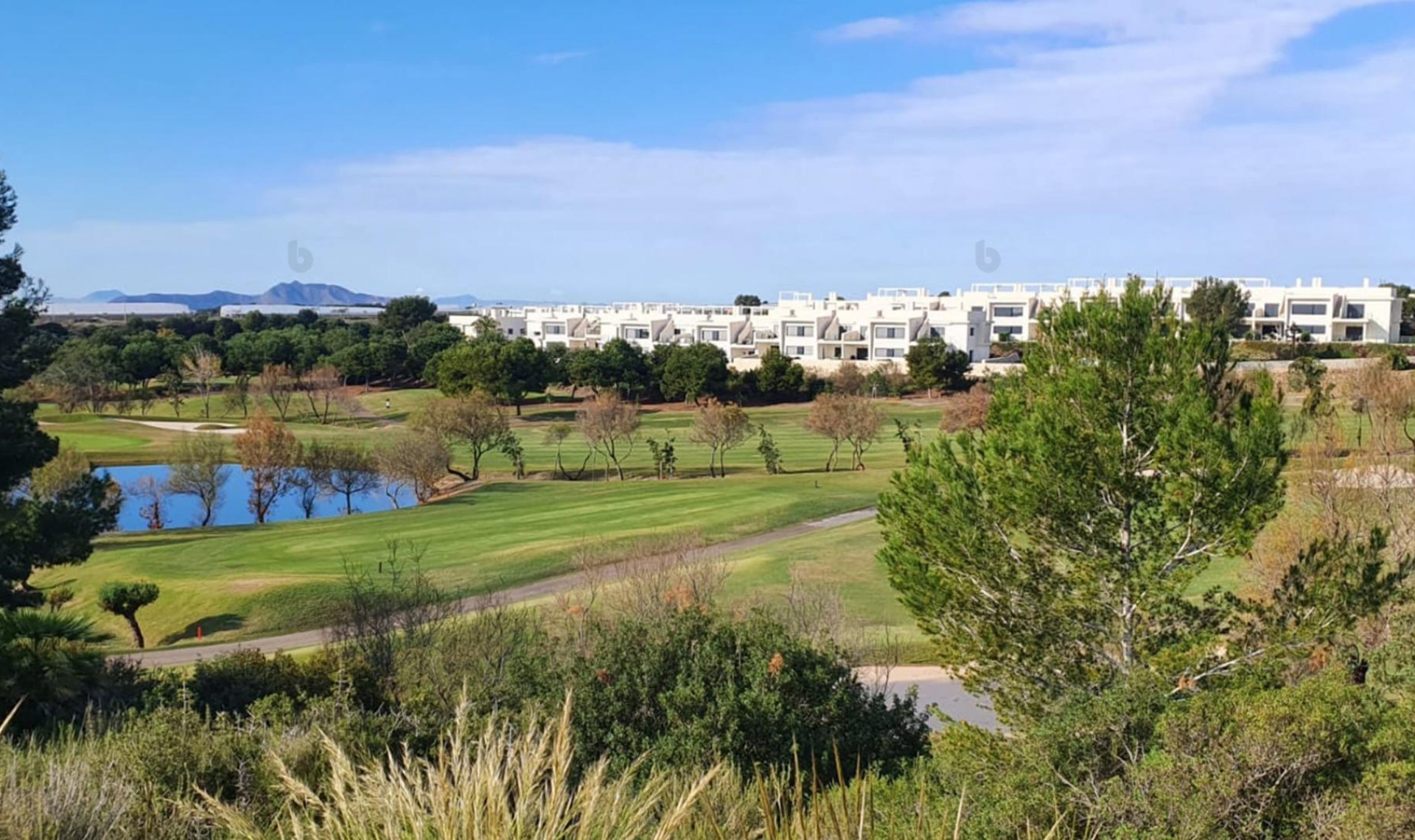 New Build - Villa -
Pilar de la Horadada - Lo Romero Golf