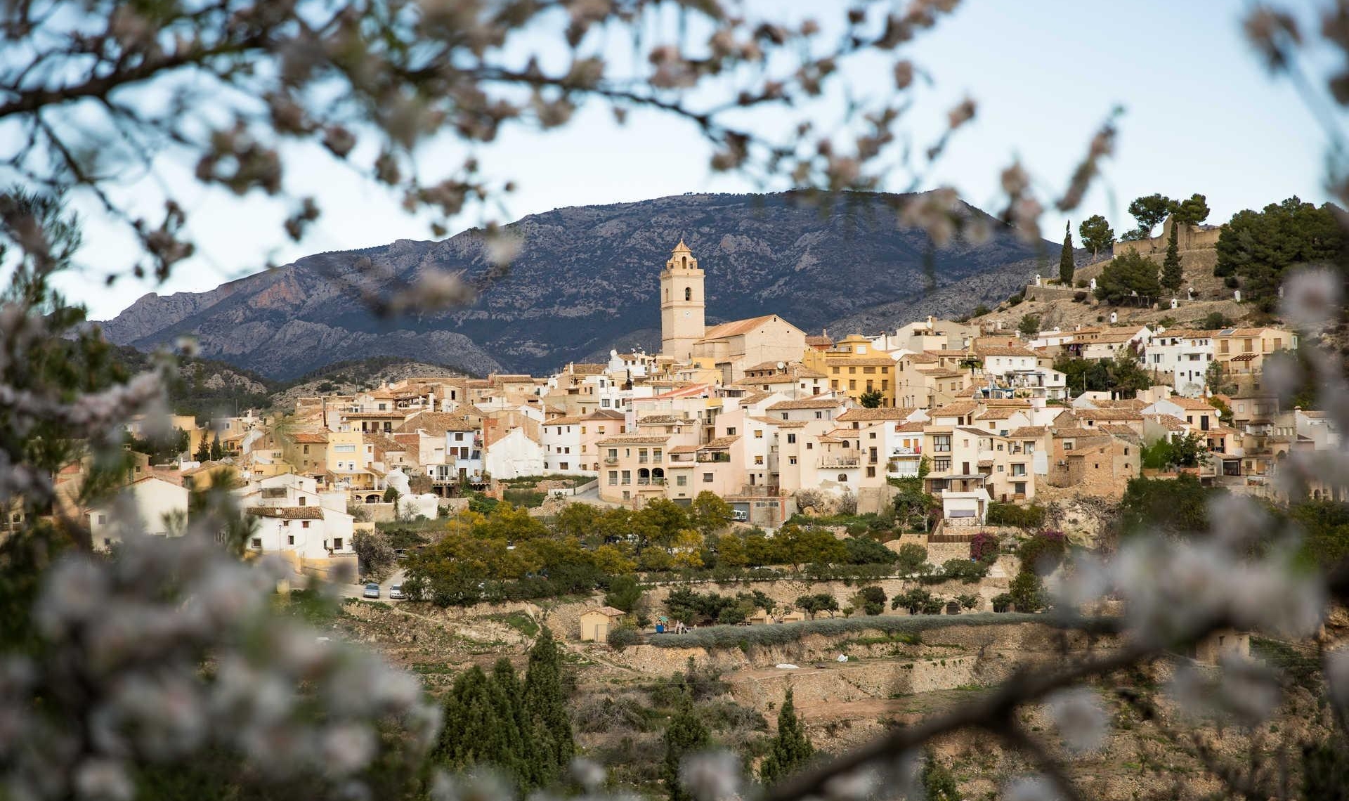 New Build - Villa -
Polop - Polop Hills