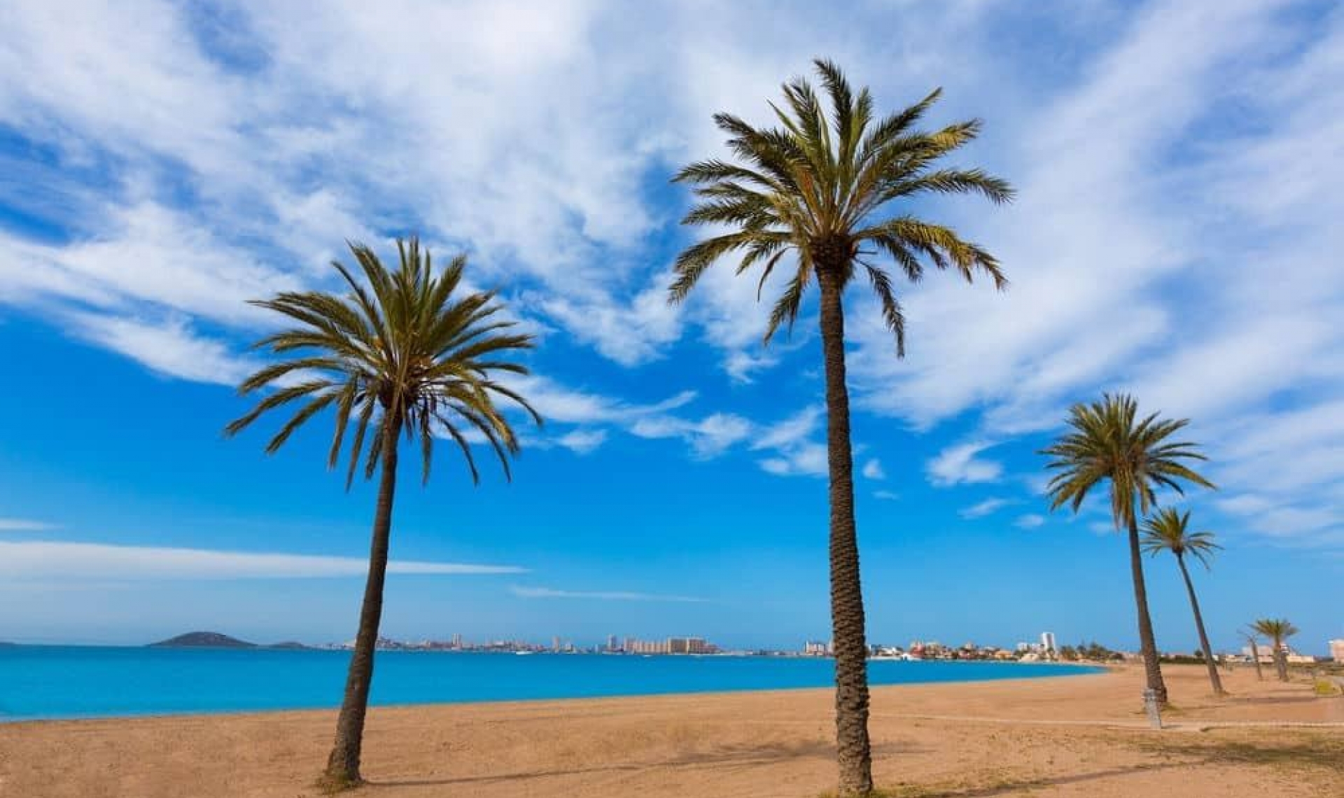 New Build - Villa -
Torre Pacheco - Roldán