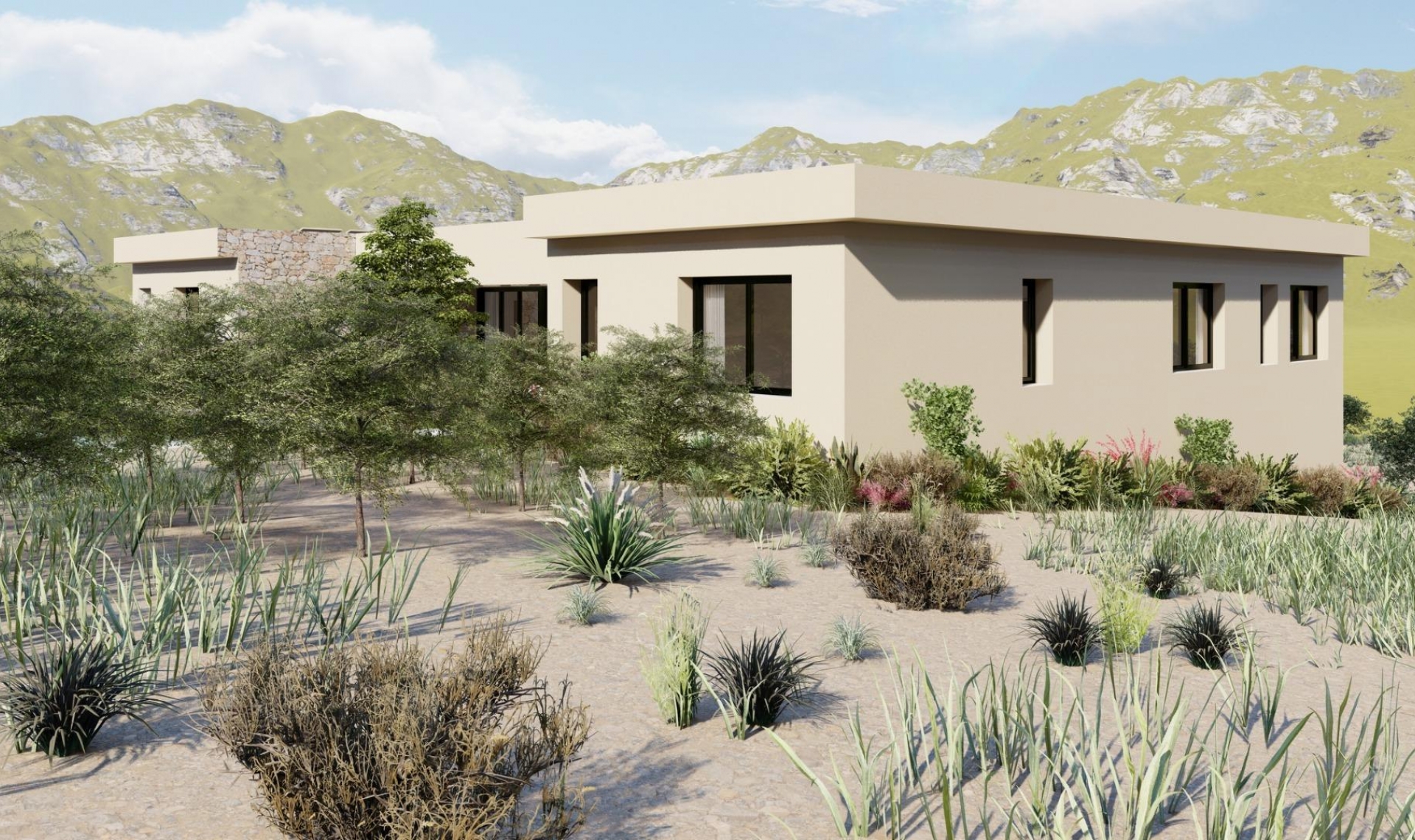 New Build - Villa -
Yecla